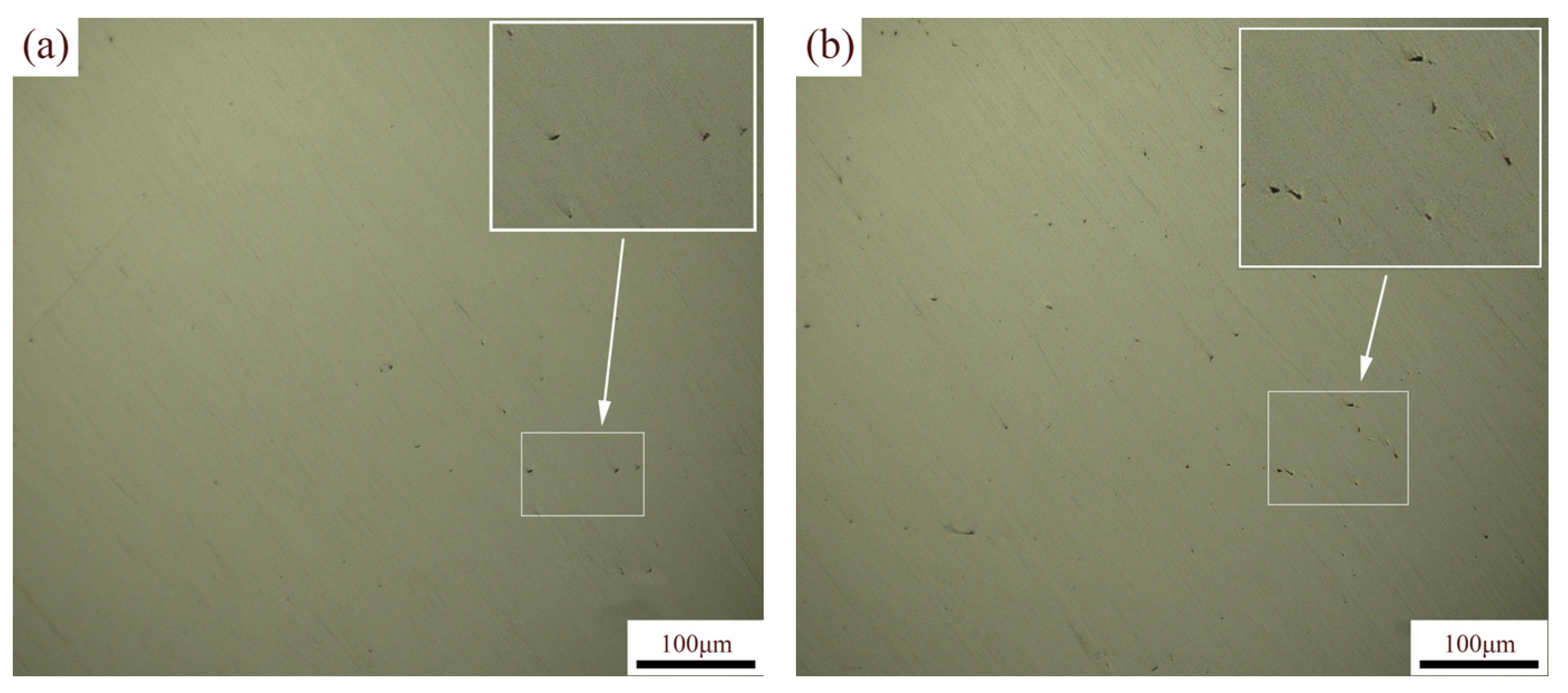 Lubricants 13 00189 g005