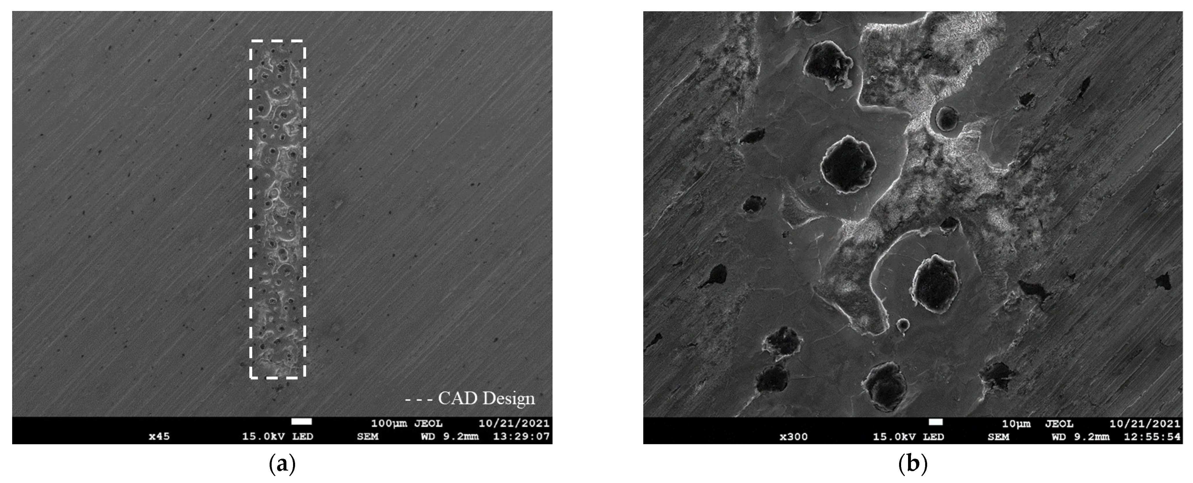 Lubricants 13 00203 g007