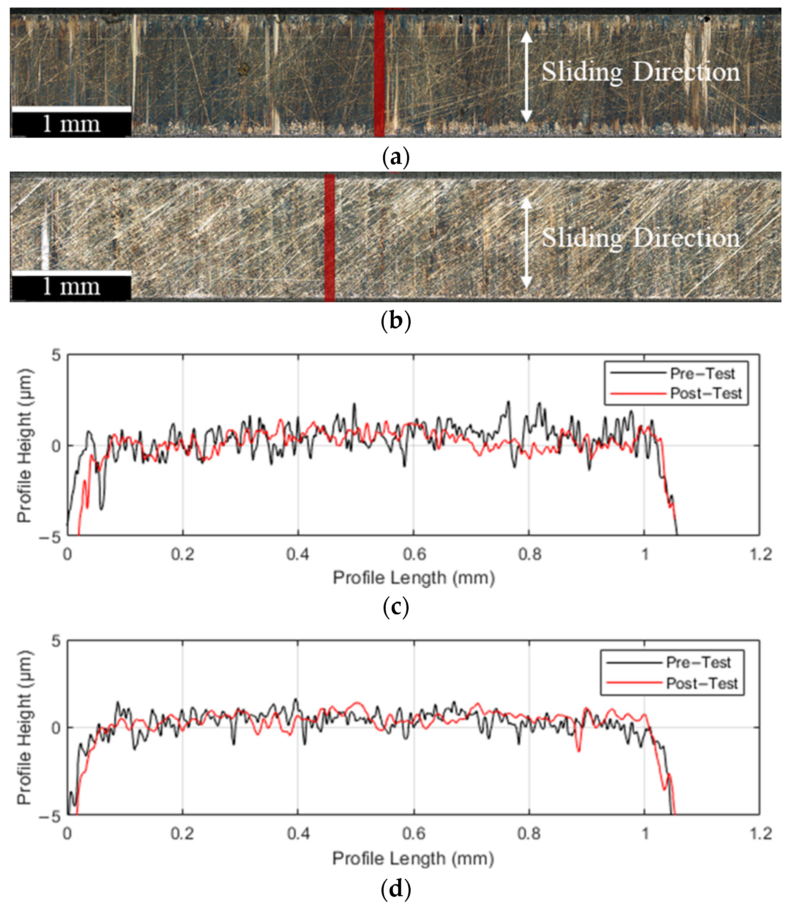 Lubricants 13 00203 g012