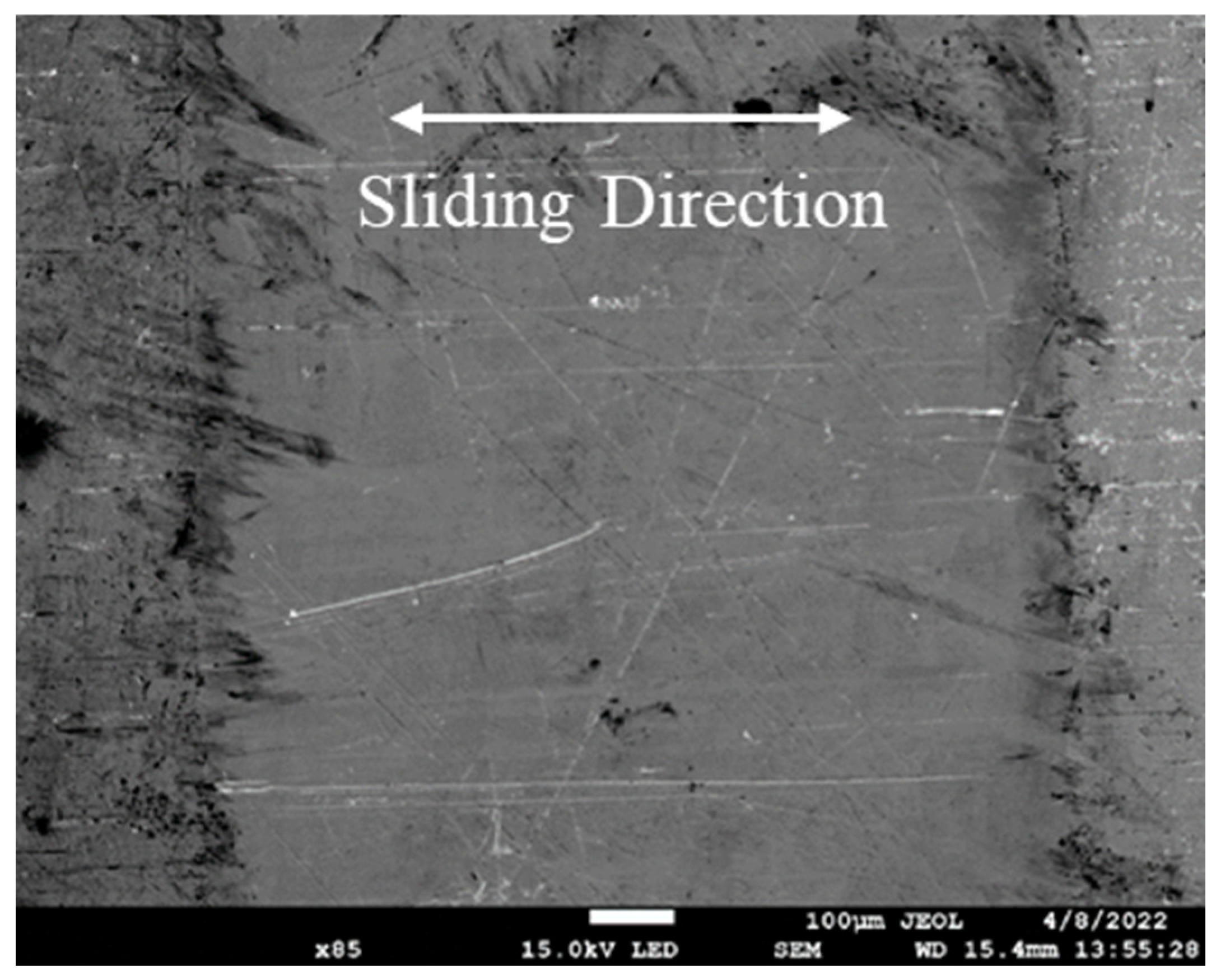 Lubricants 13 00203 g013