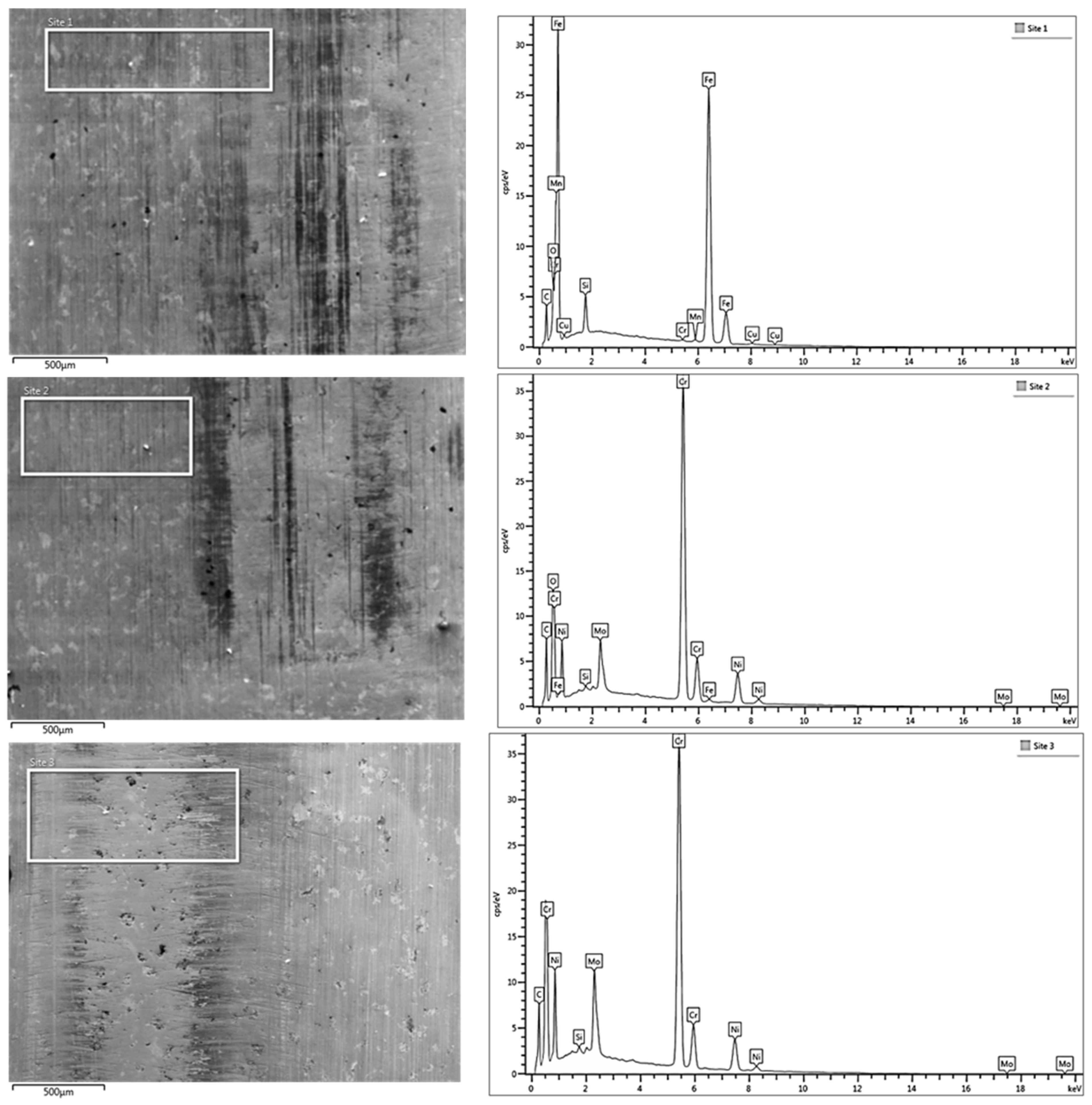 Lubricants 13 00206 g010