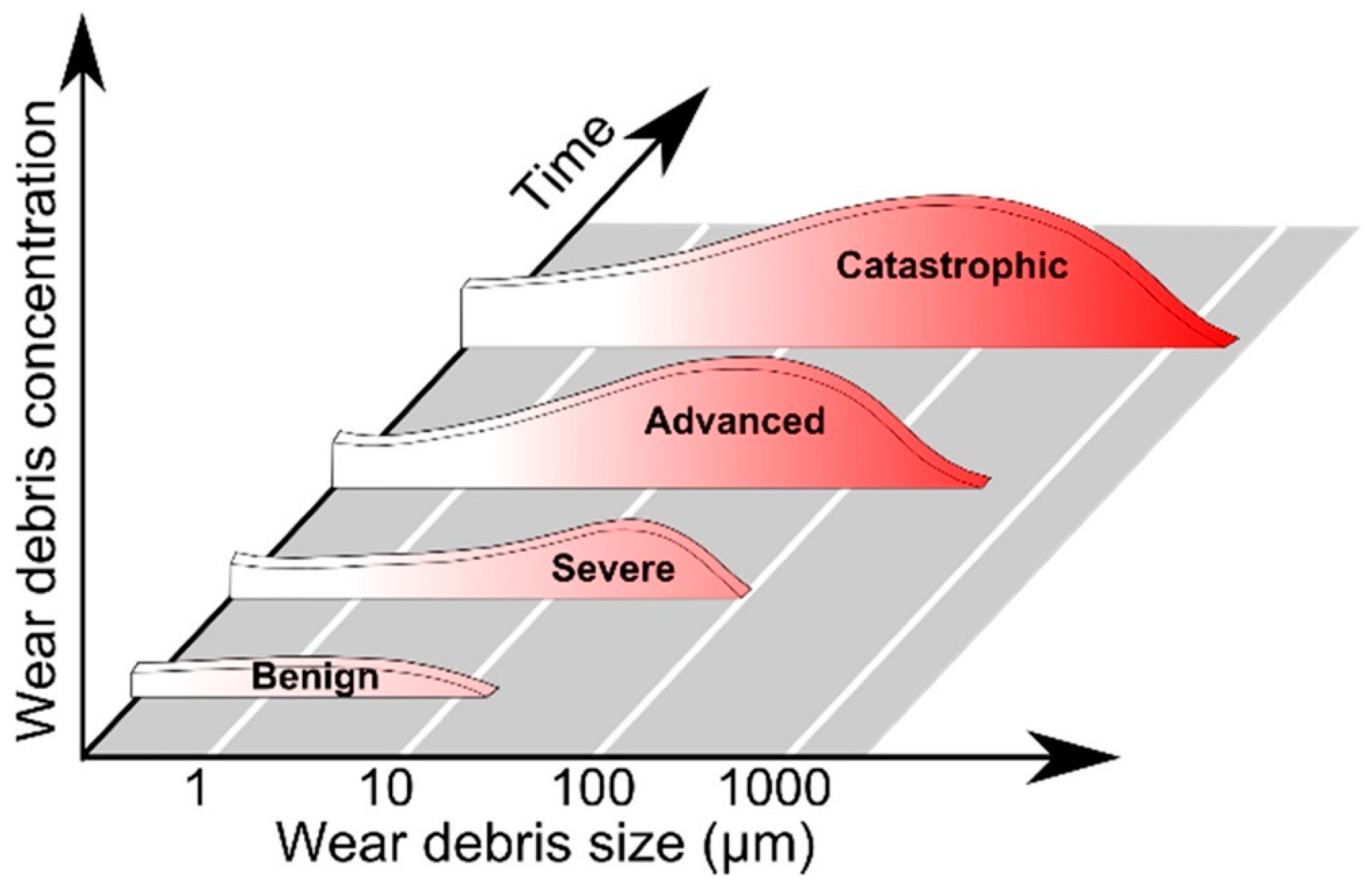 Lubricants 13 00208 g001