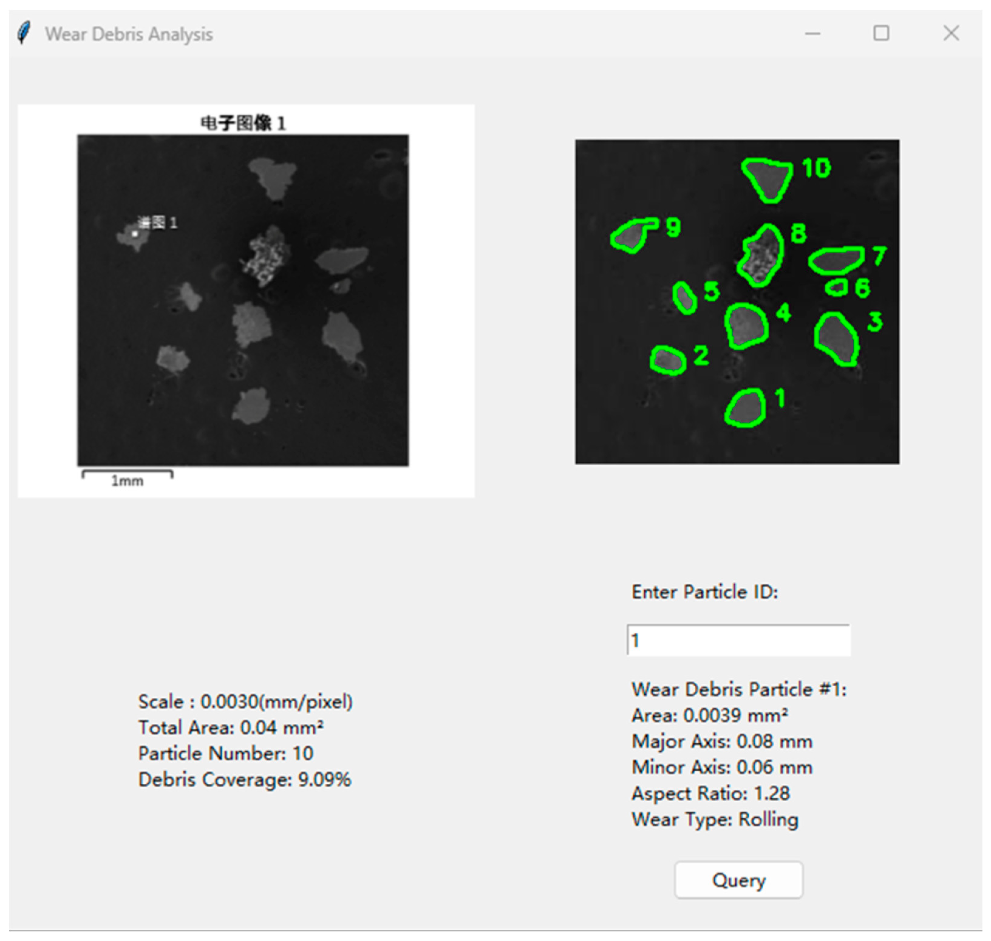 Lubricants 13 00208 g010