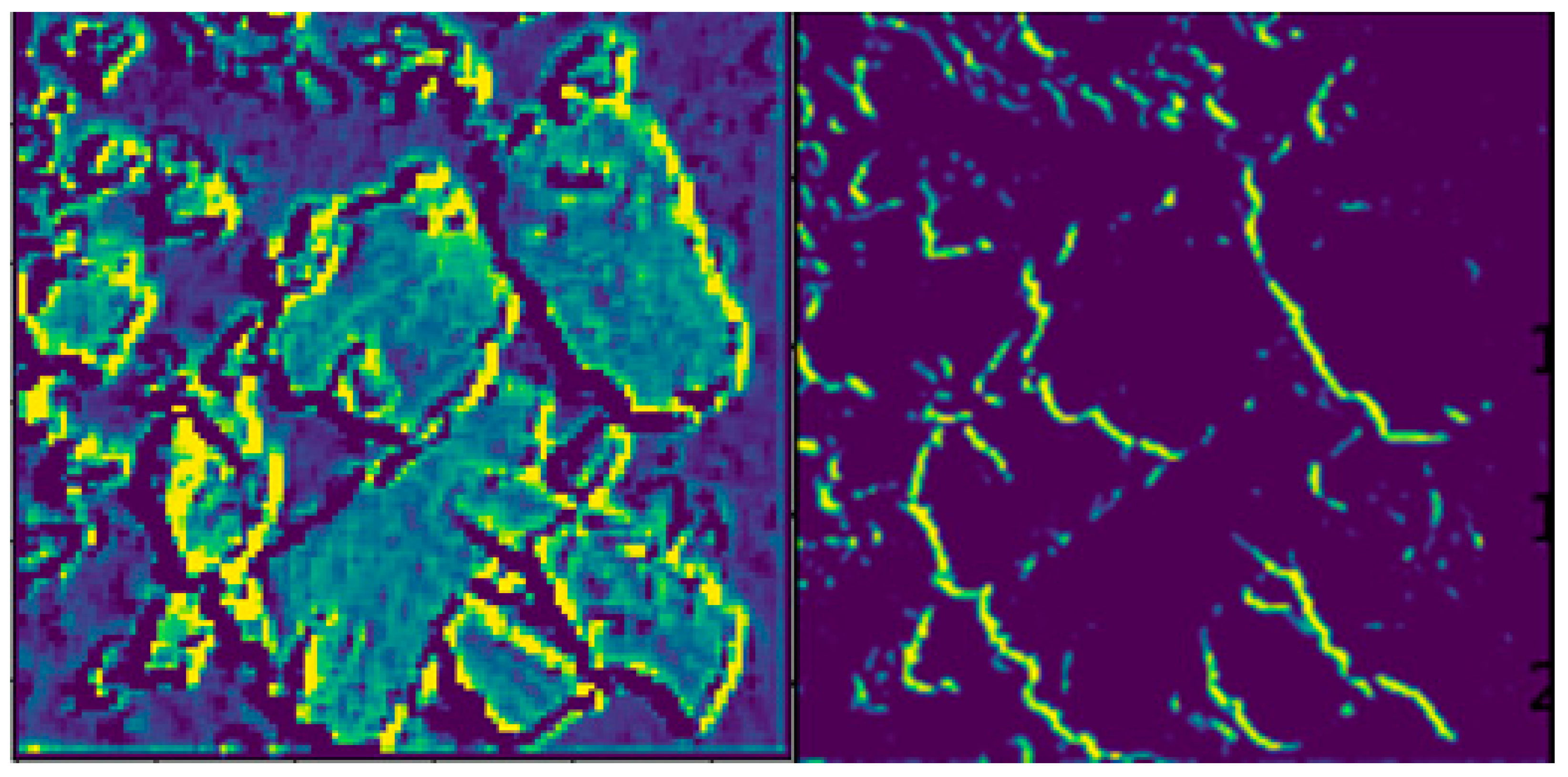 Lubricants 13 00208 g011