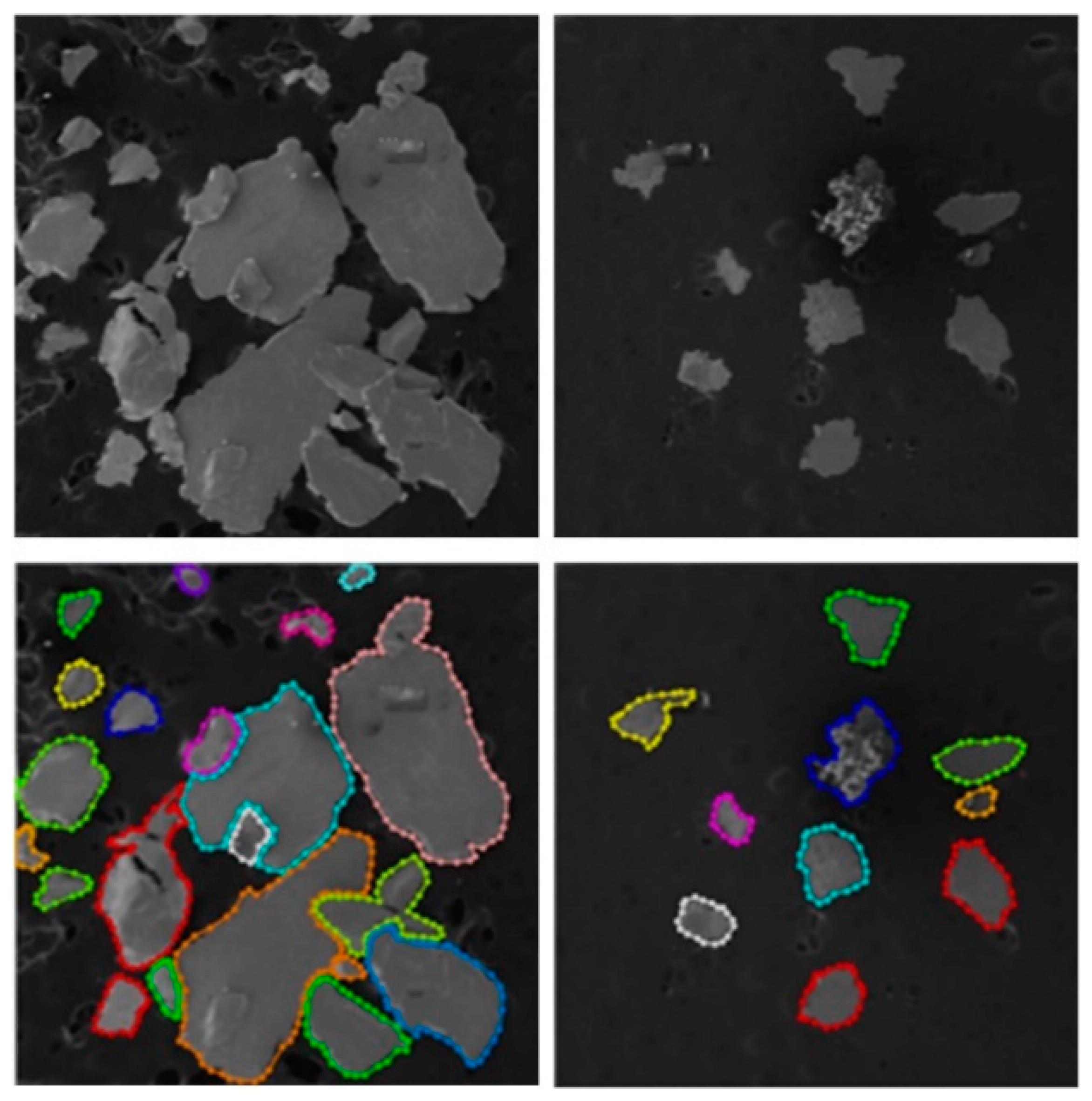 Lubricants 13 00208 g016