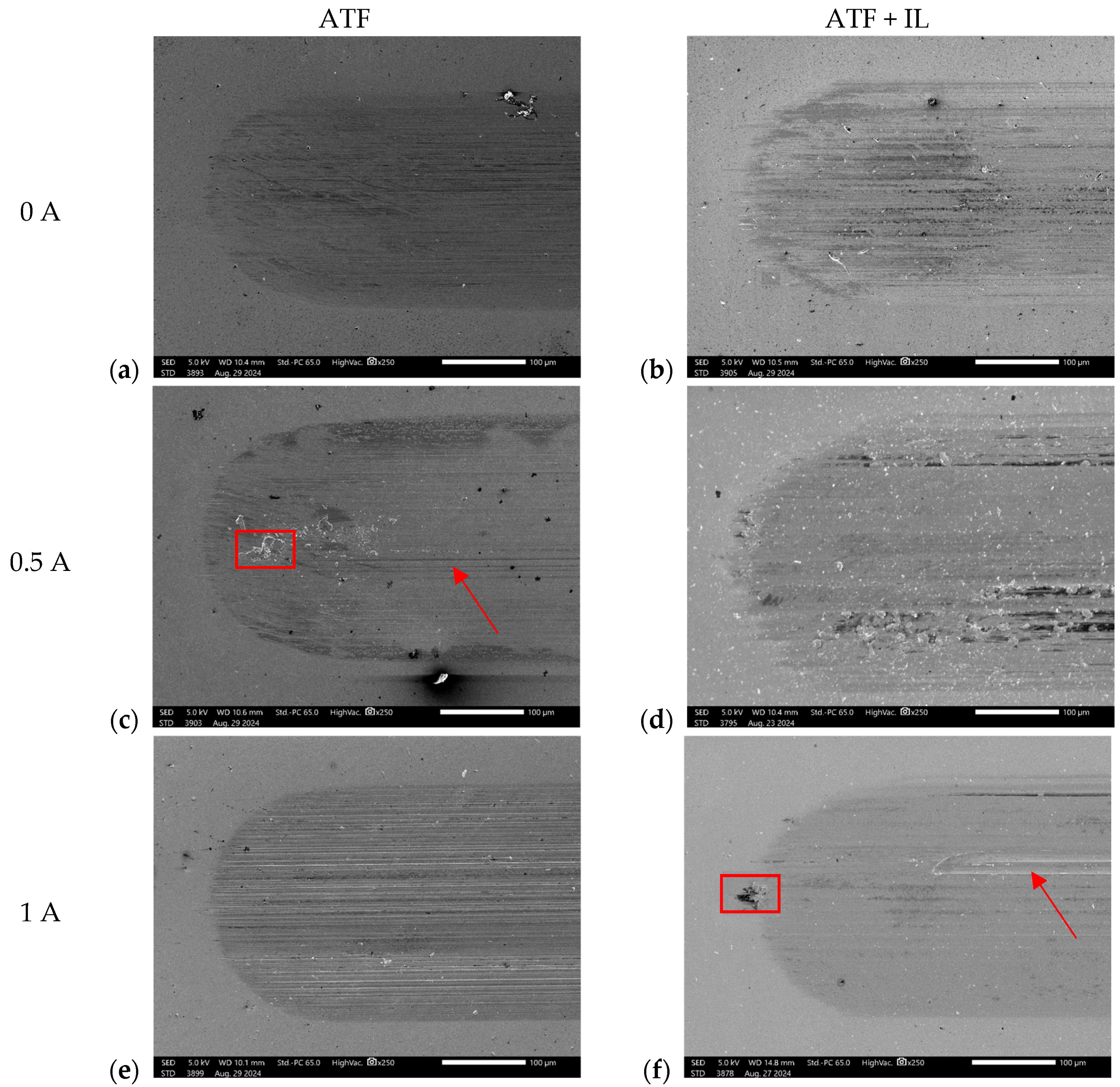 Lubricants 13 00209 g005