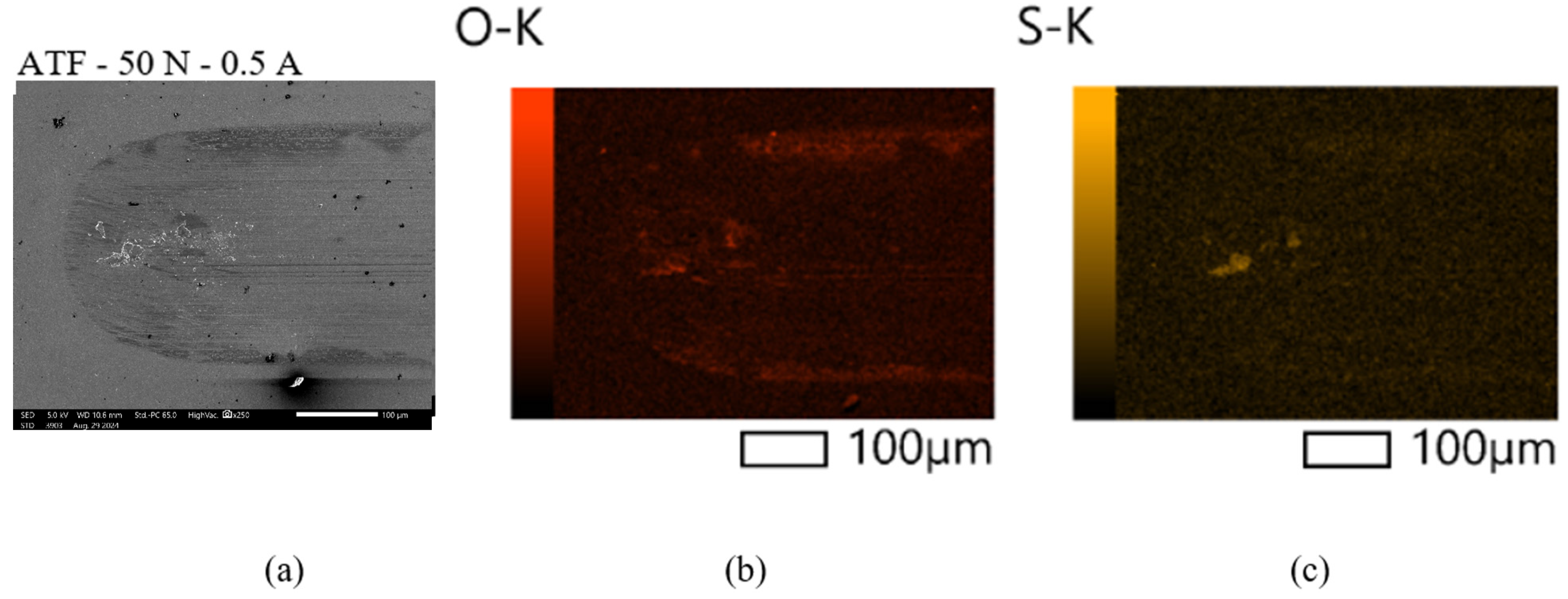 Lubricants 13 00209 g006