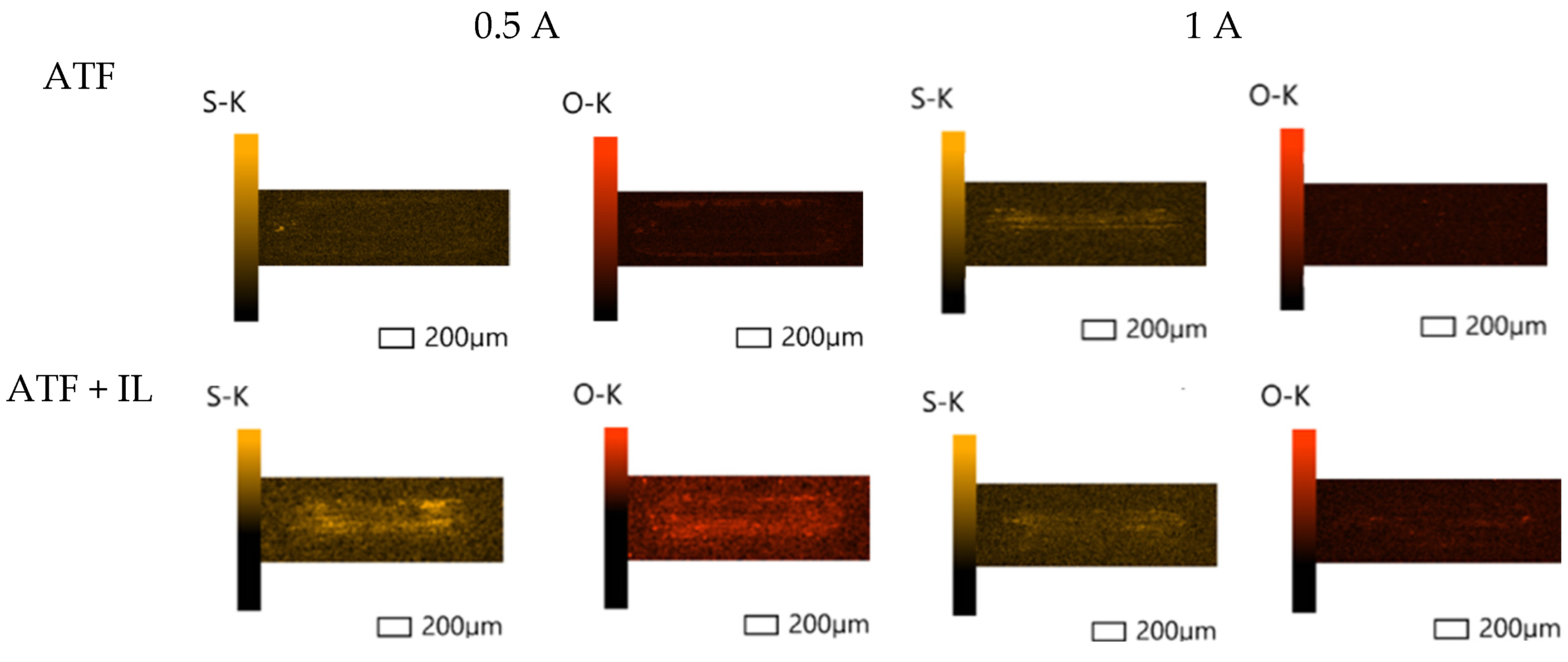 Lubricants 13 00209 g008