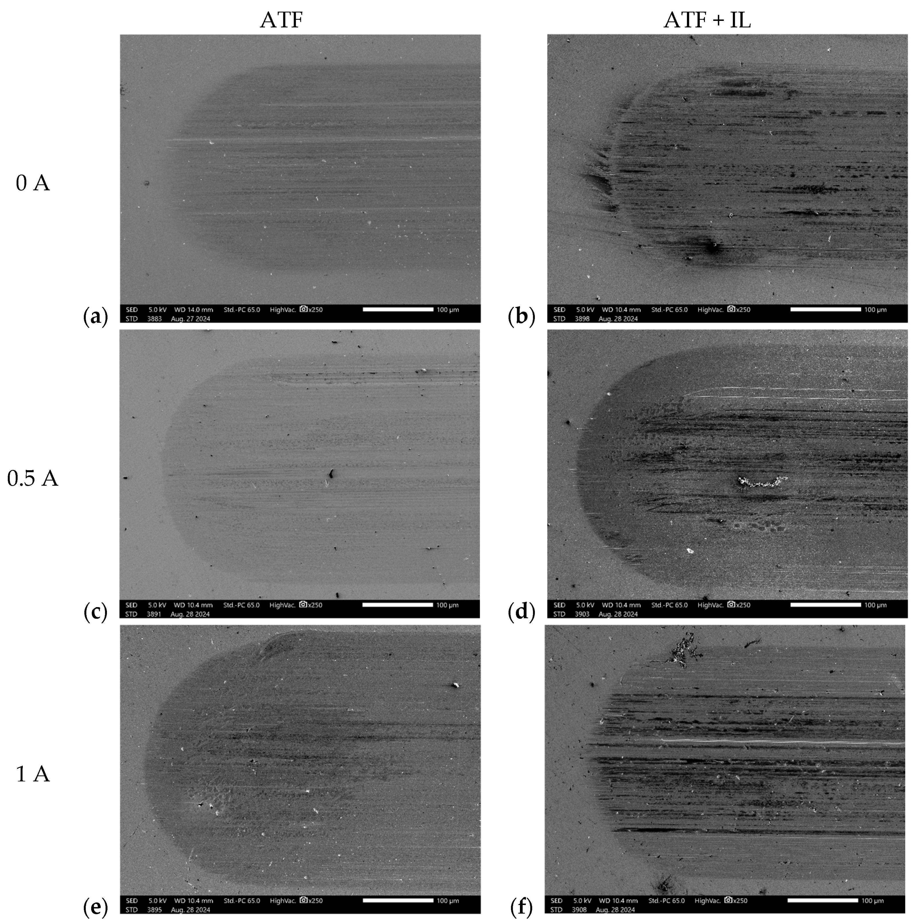 Lubricants 13 00209 g009