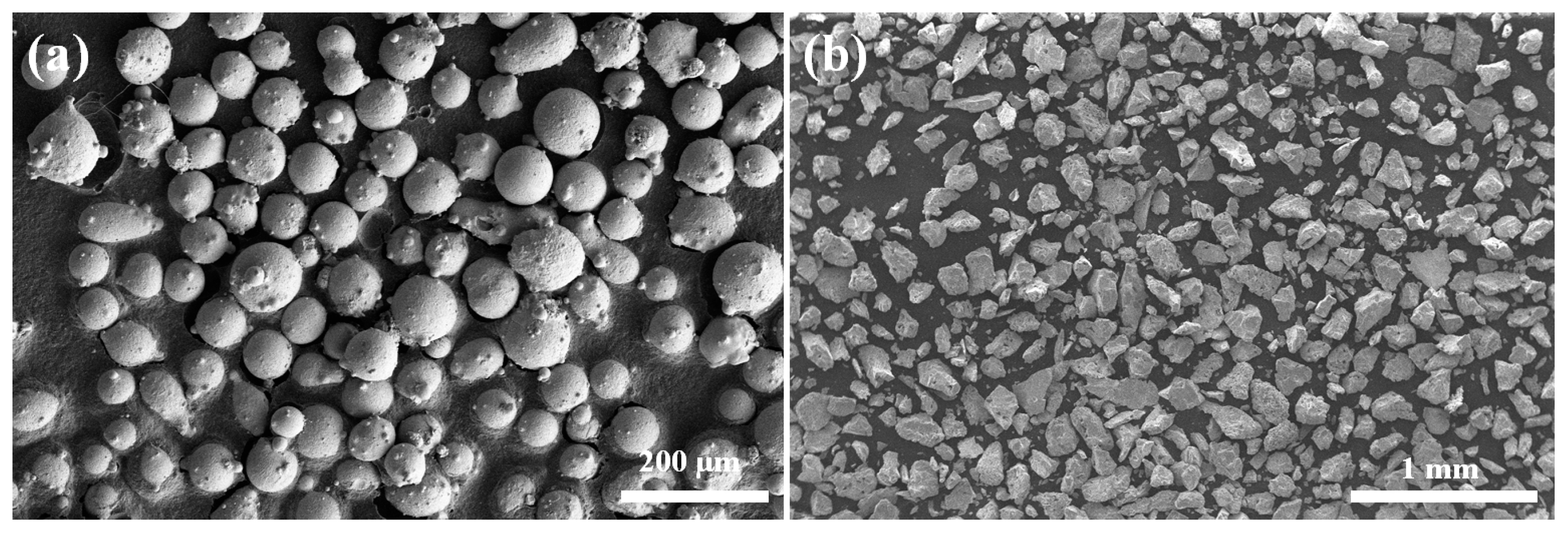 Lubricants 13 00210 g001