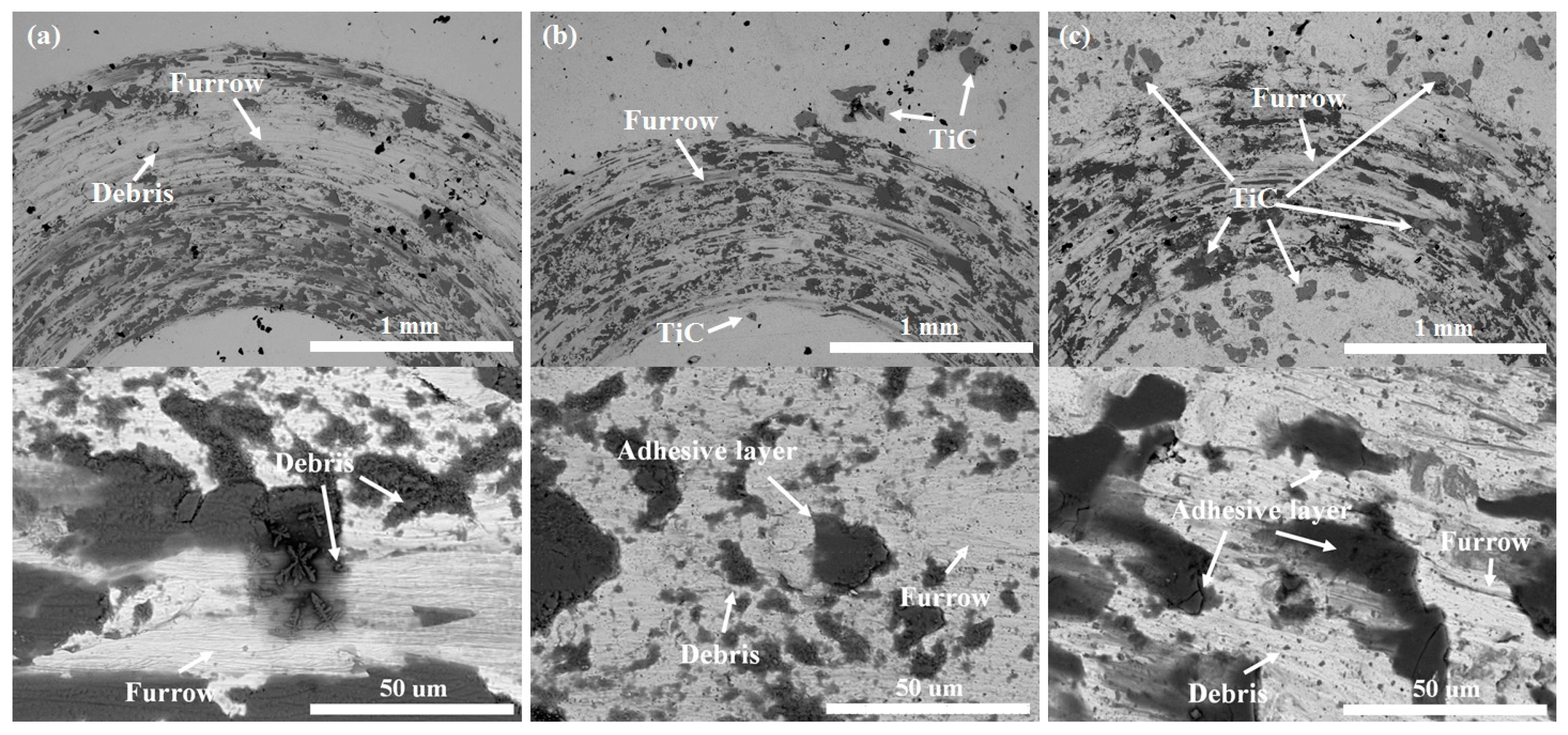 Lubricants 13 00210 g006