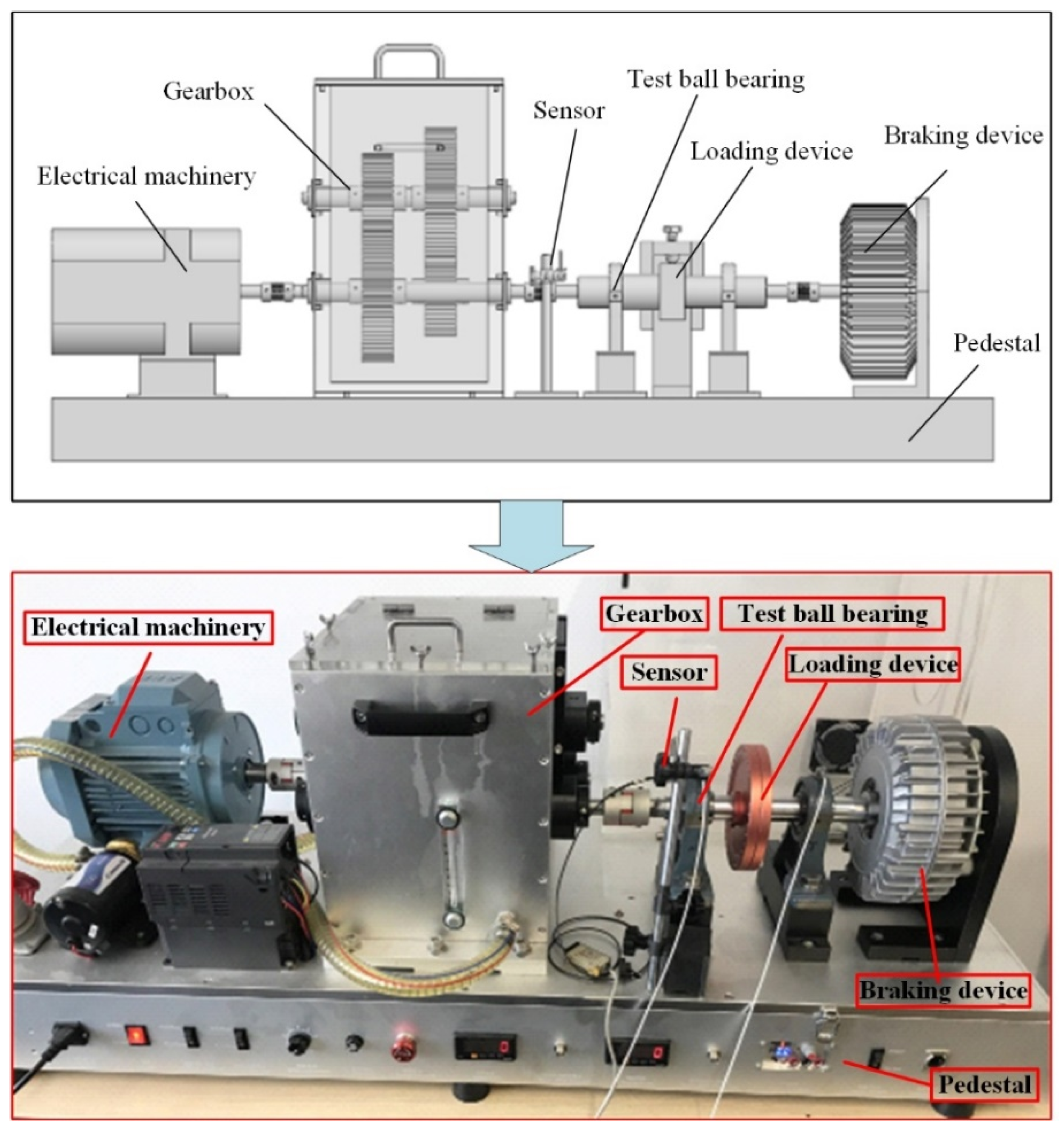 Lubricants 13 00216 g004