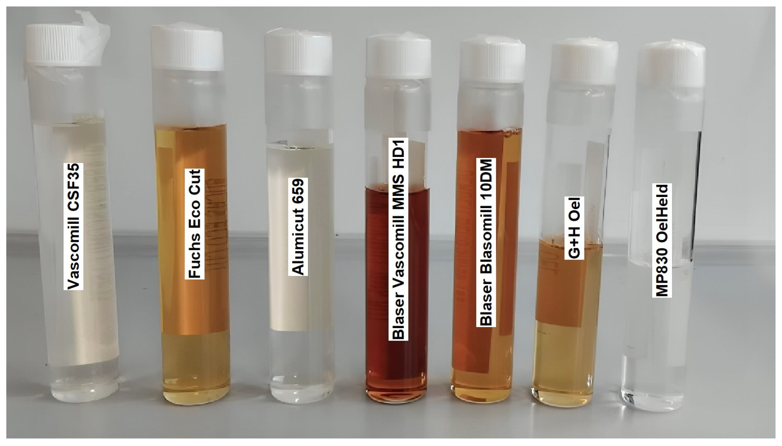 Lubricants 13 00219 g001