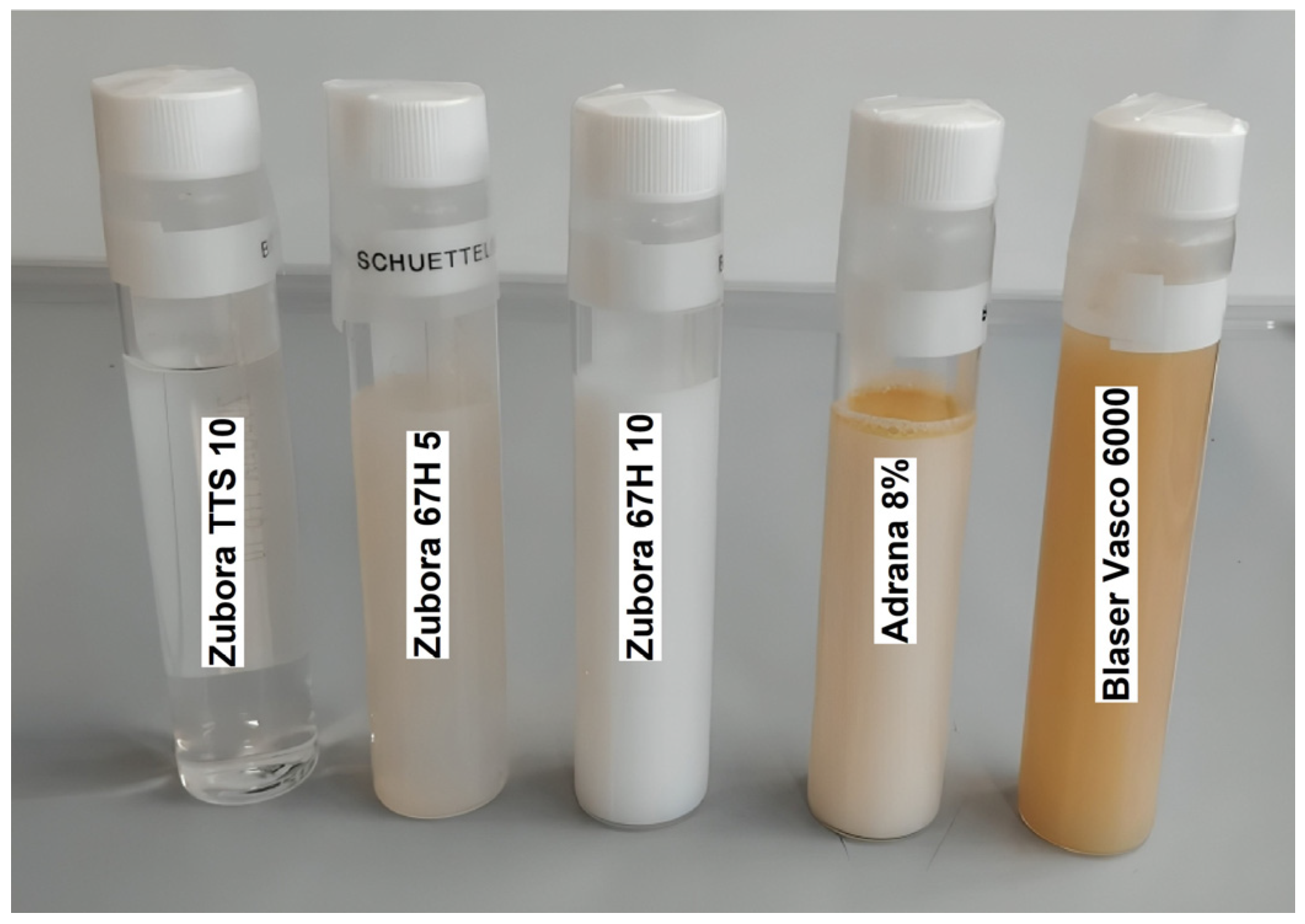 Lubricants 13 00219 g002