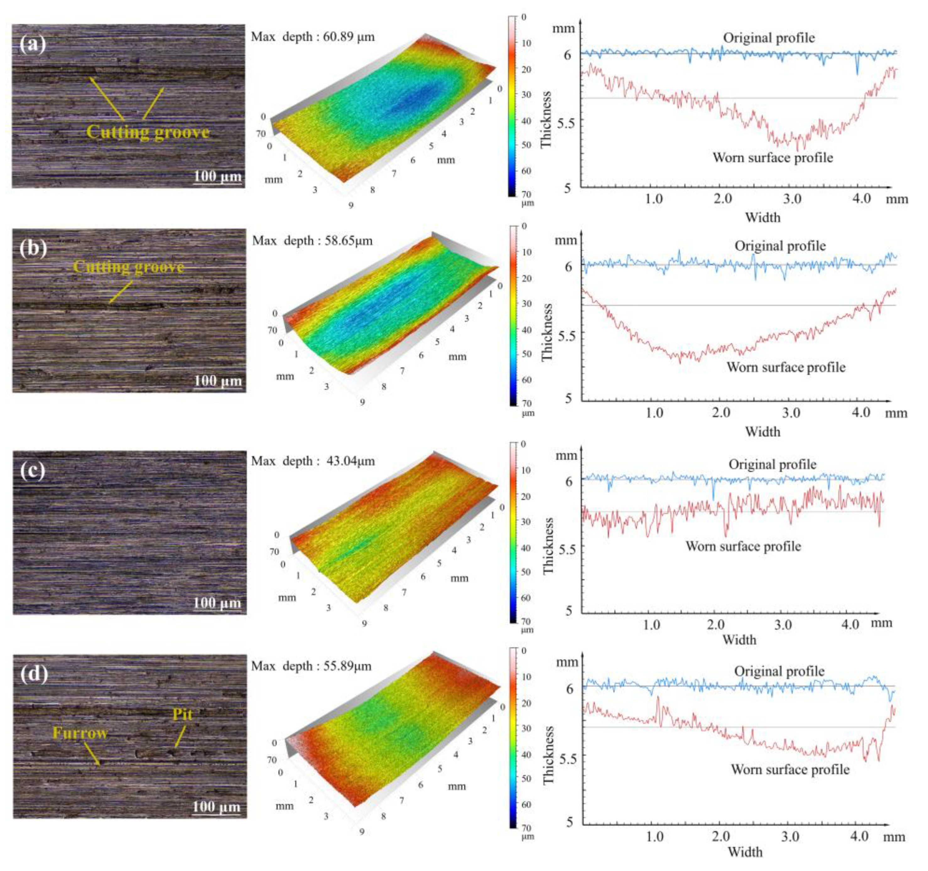 Lubricants 13 00224 g005