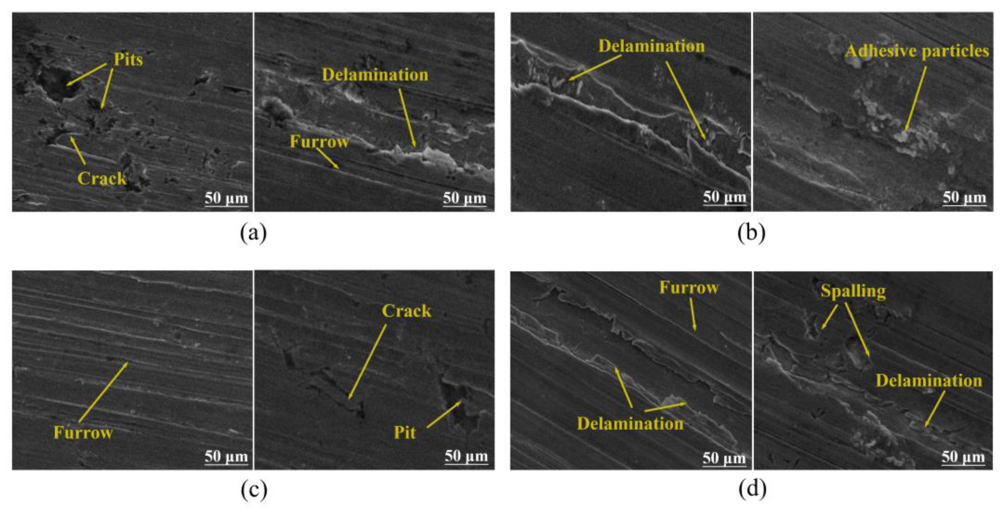 Lubricants 13 00224 g007