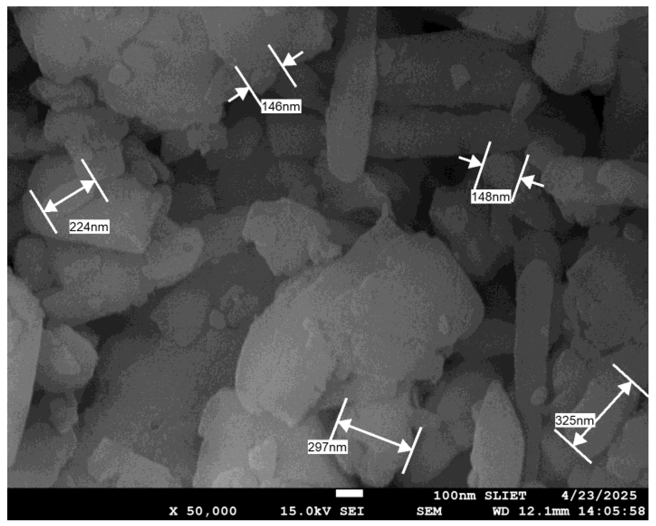 Lubricants 13 00229 g003