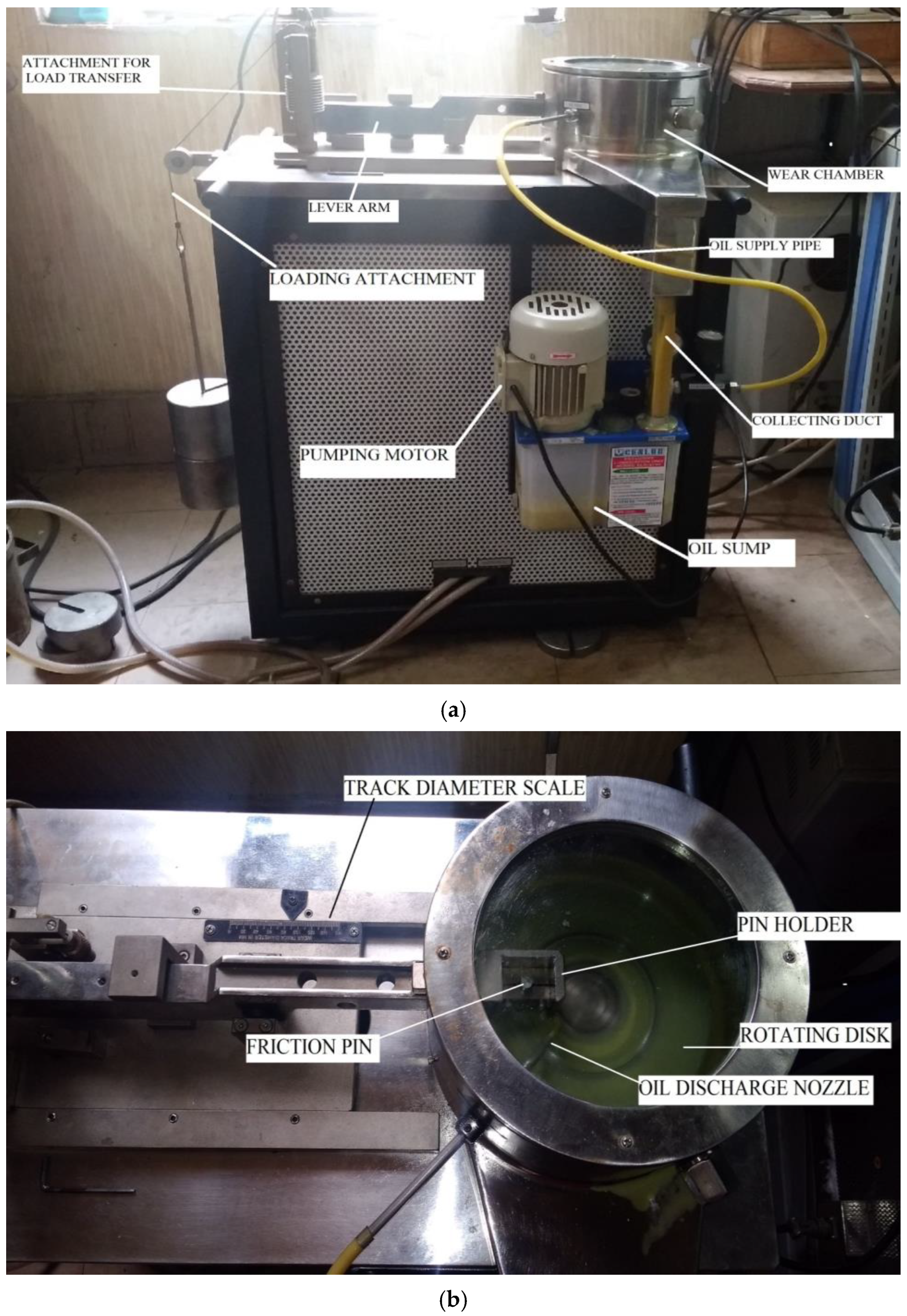 Lubricants 13 00229 g008