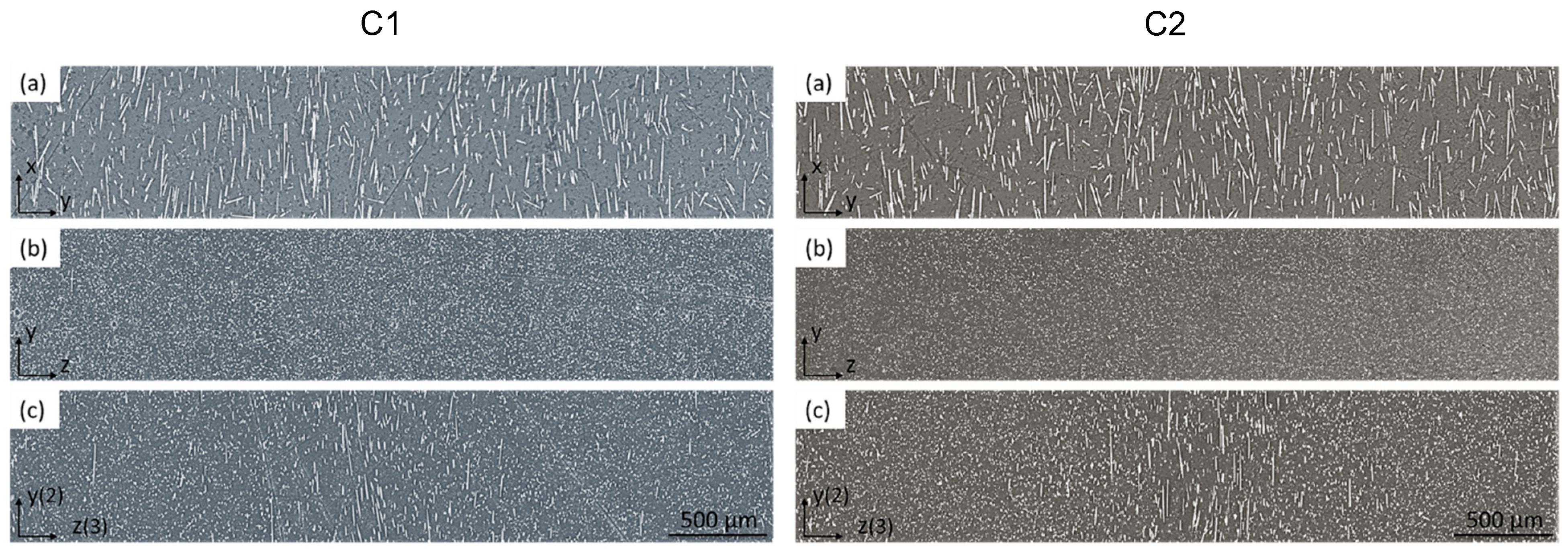 Lubricants 13 00234 g003
