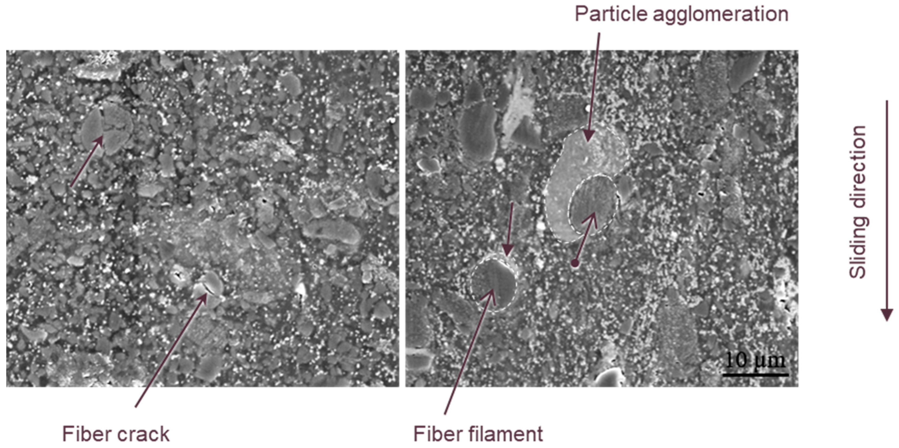 Lubricants 13 00234 g011
