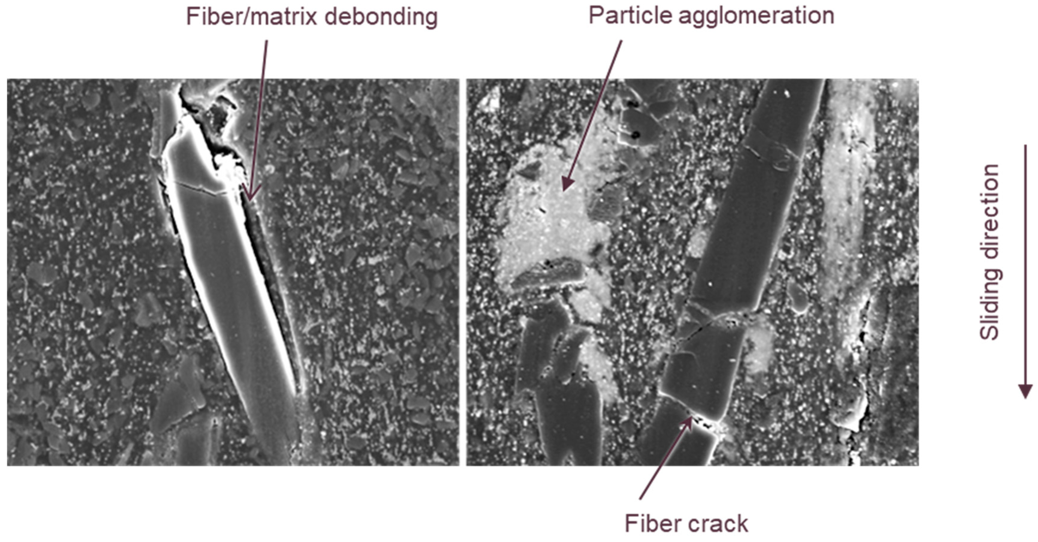 Lubricants 13 00234 g012