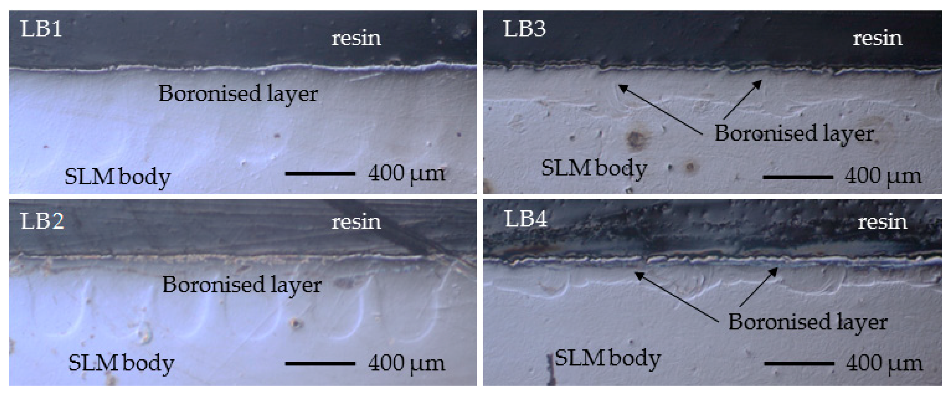 Lubricants 13 00236 g005