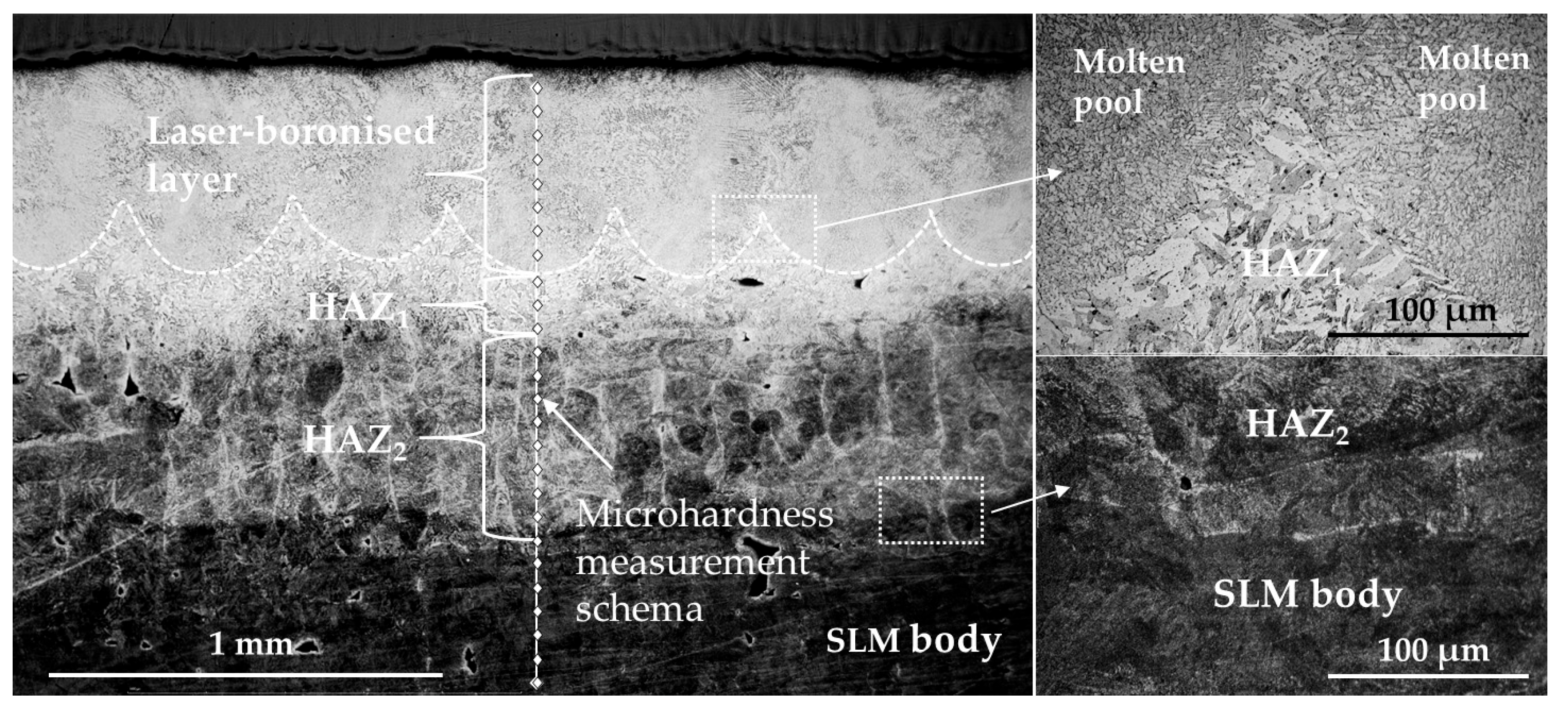Lubricants 13 00236 g007