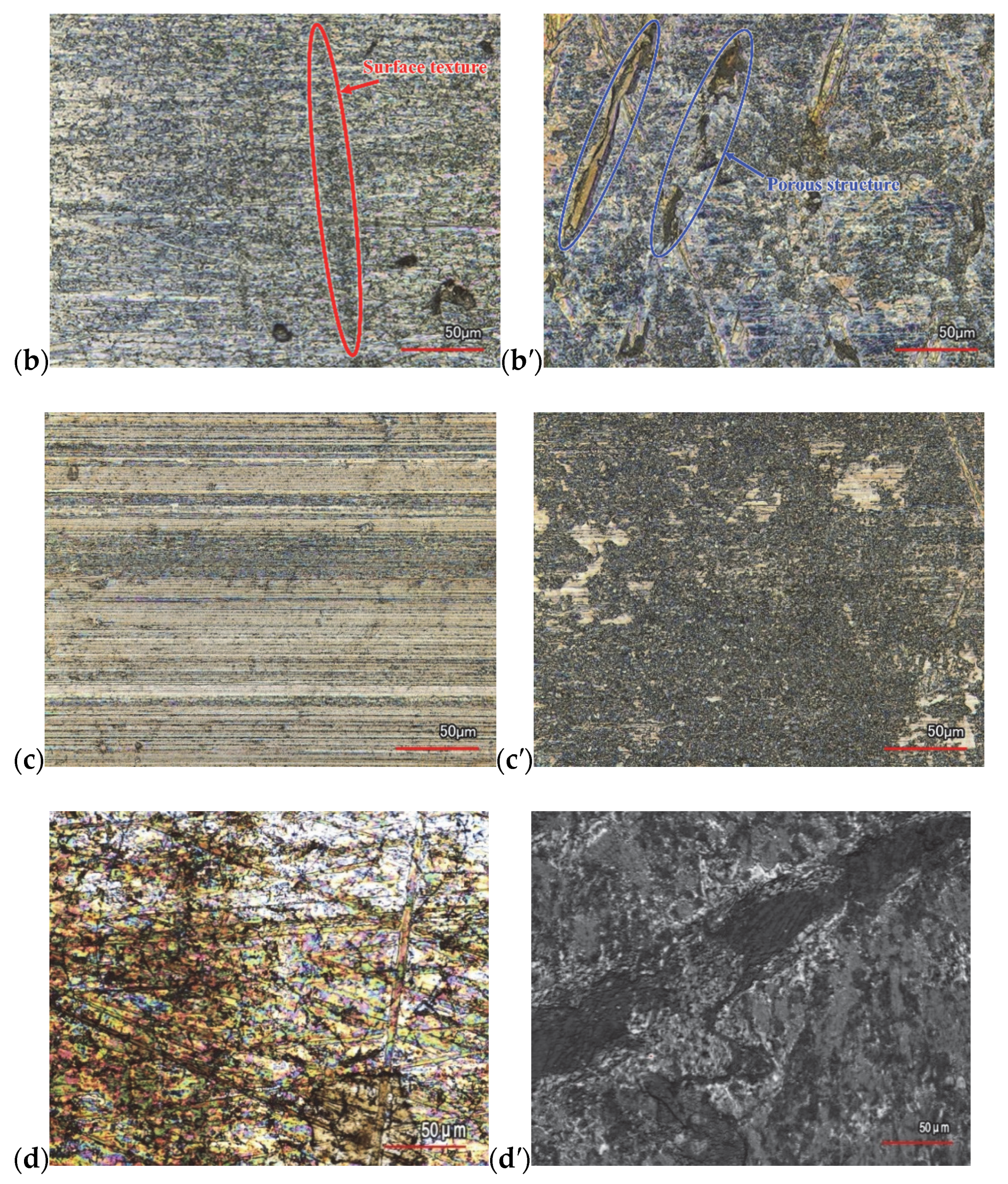 Lubricants 13 00237 g006b