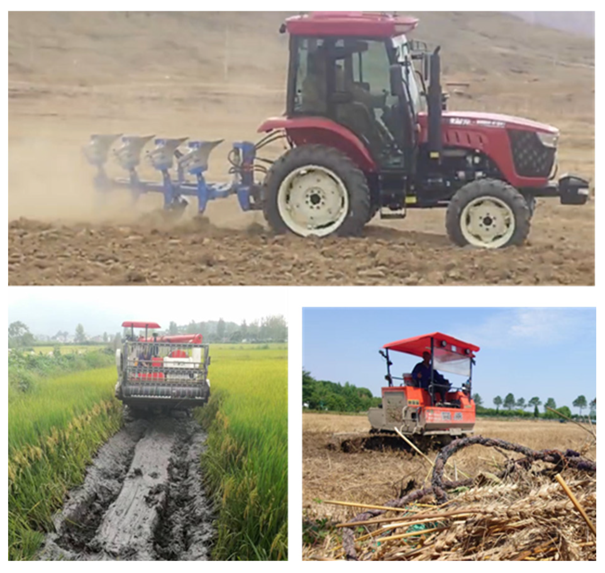 Lubricants 13 00239 g007