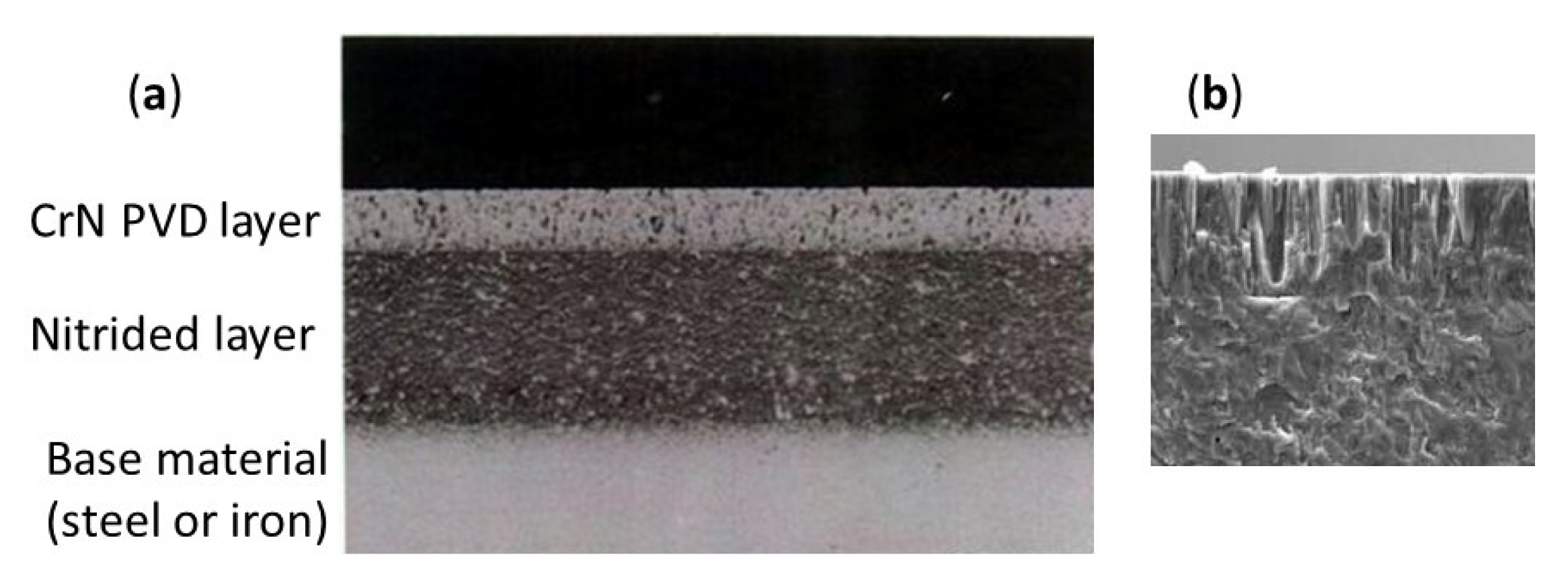 Lubricants 13 00239 g009