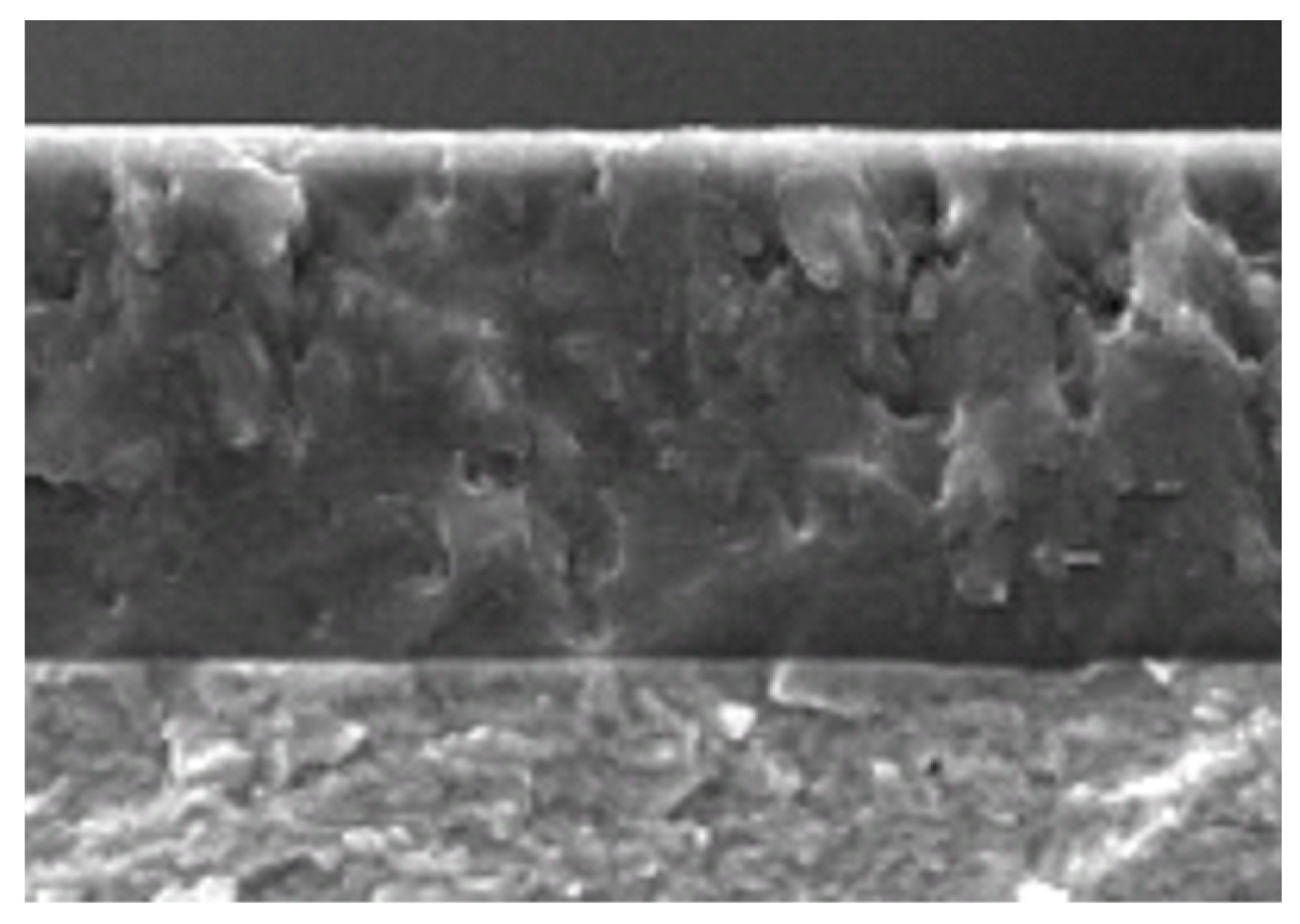 Lubricants 13 00239 g010