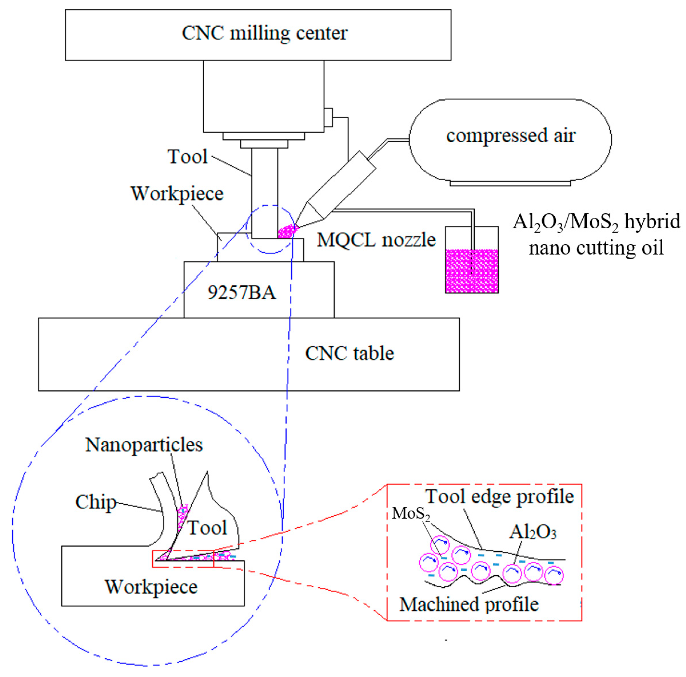 Lubricants 13 00240 g002