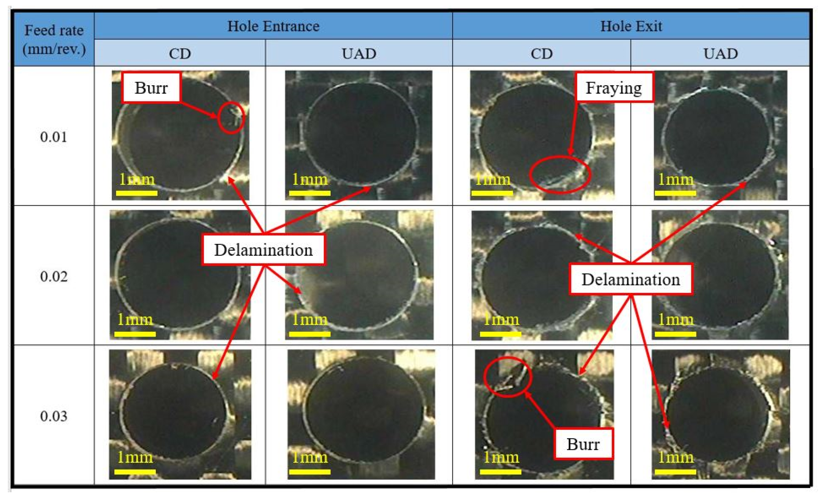 Lubricants 13 00241 g005