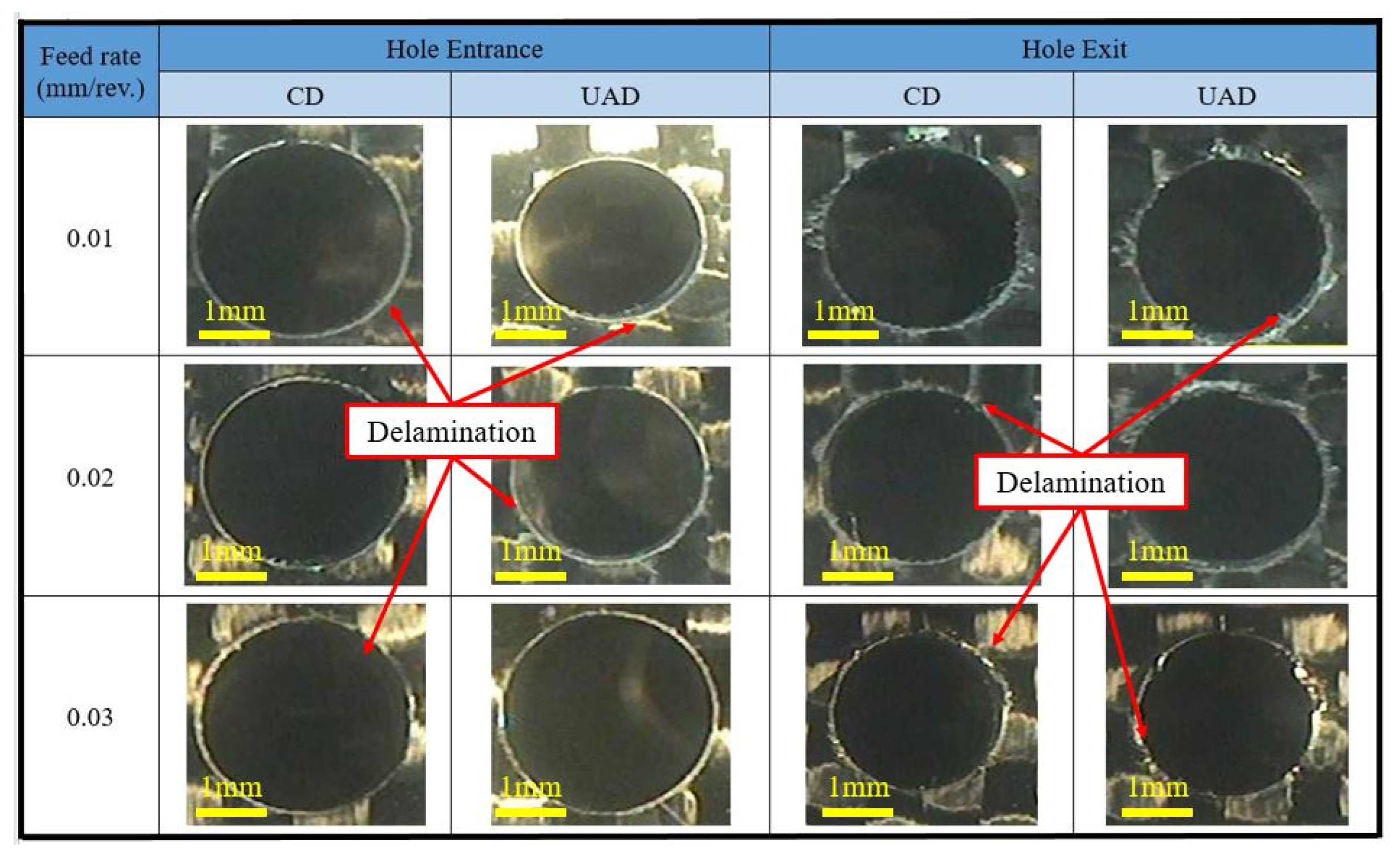 Lubricants 13 00241 g006