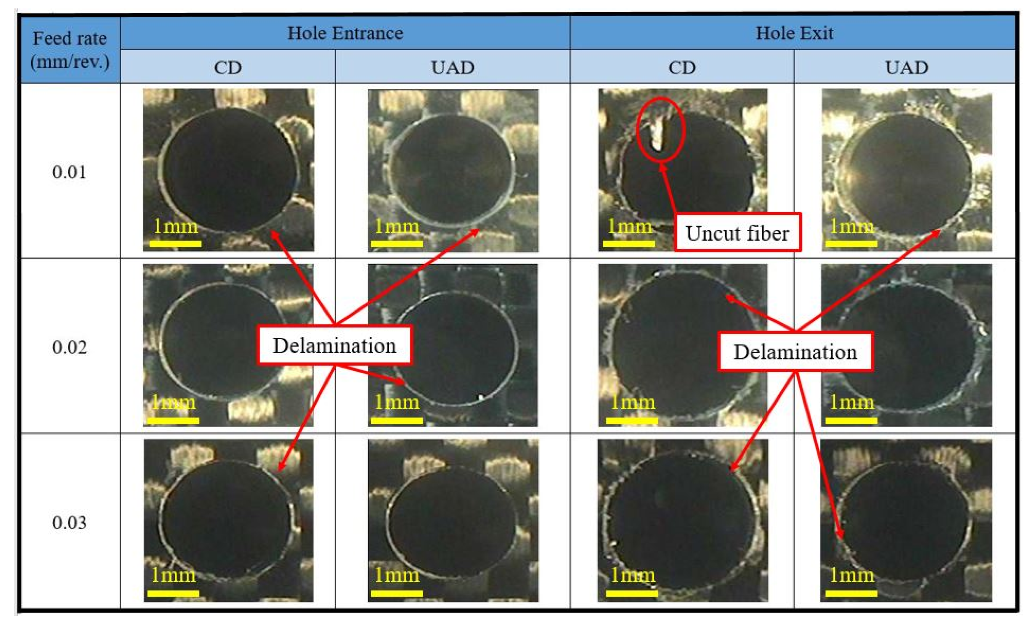 Lubricants 13 00241 g007