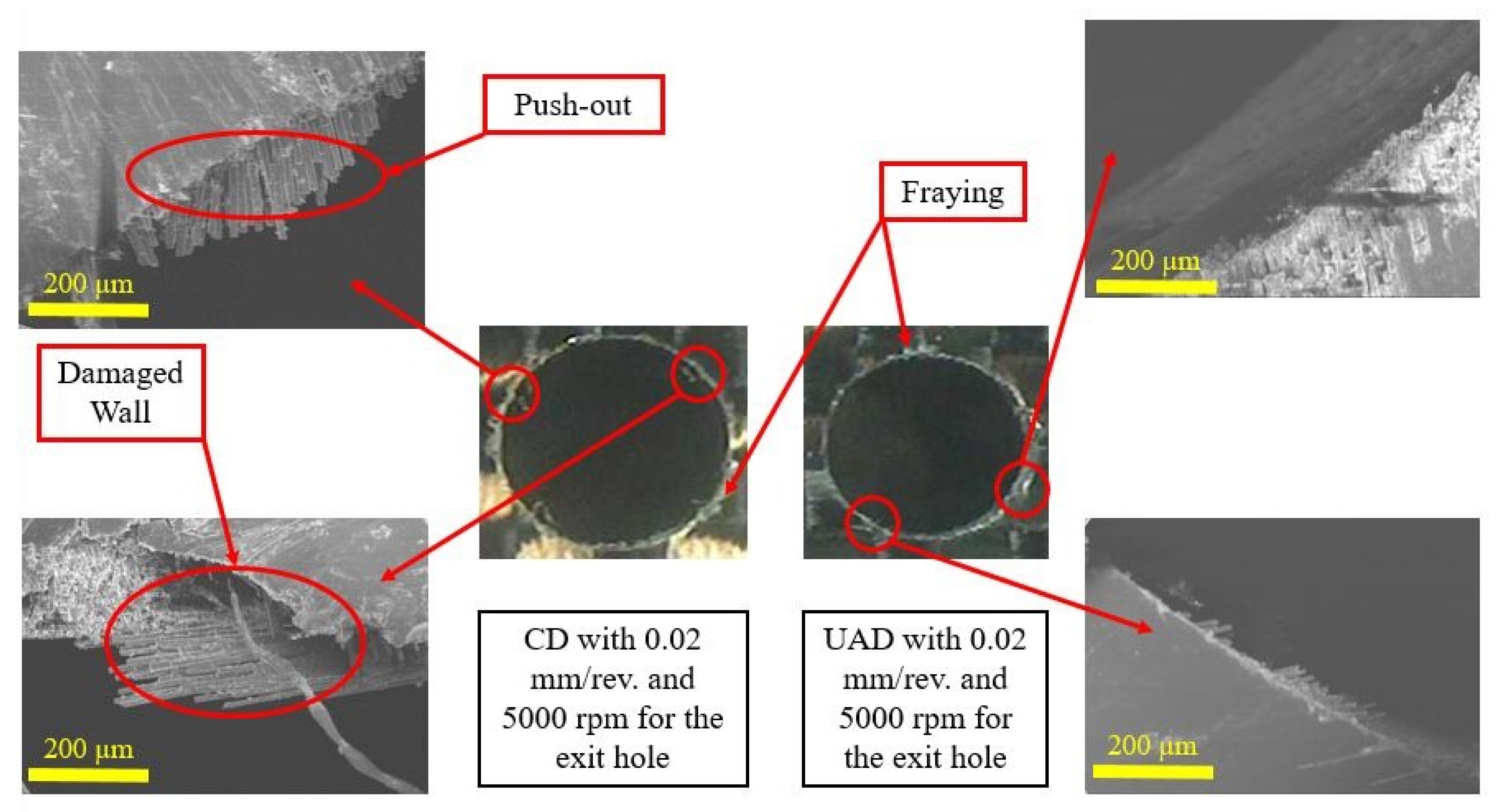 Lubricants 13 00241 g010