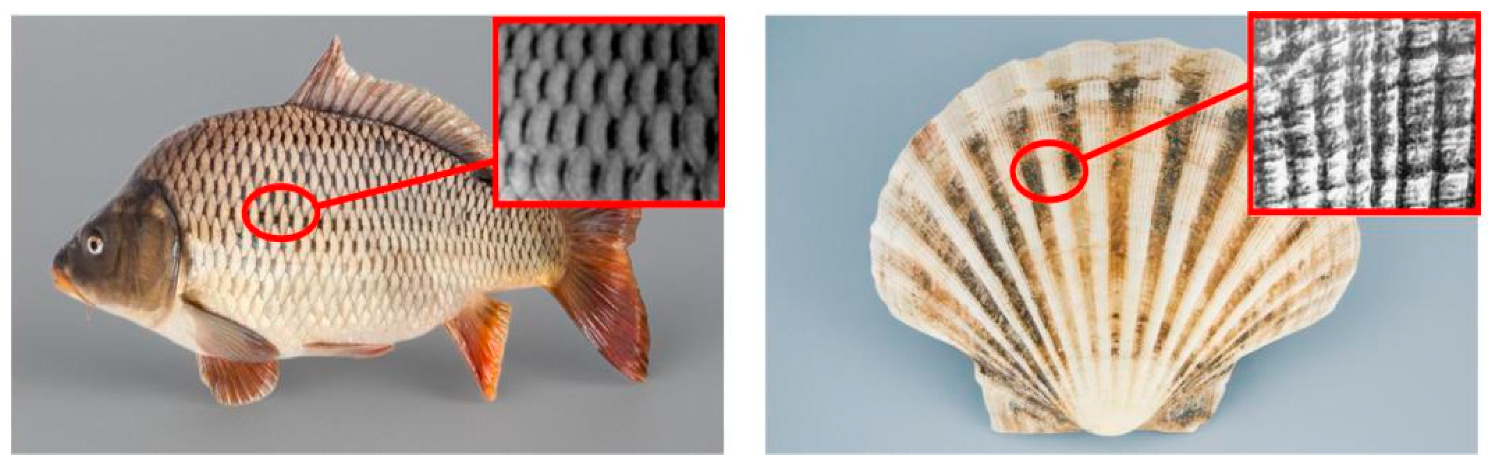 Lubricants 13 00243 g001