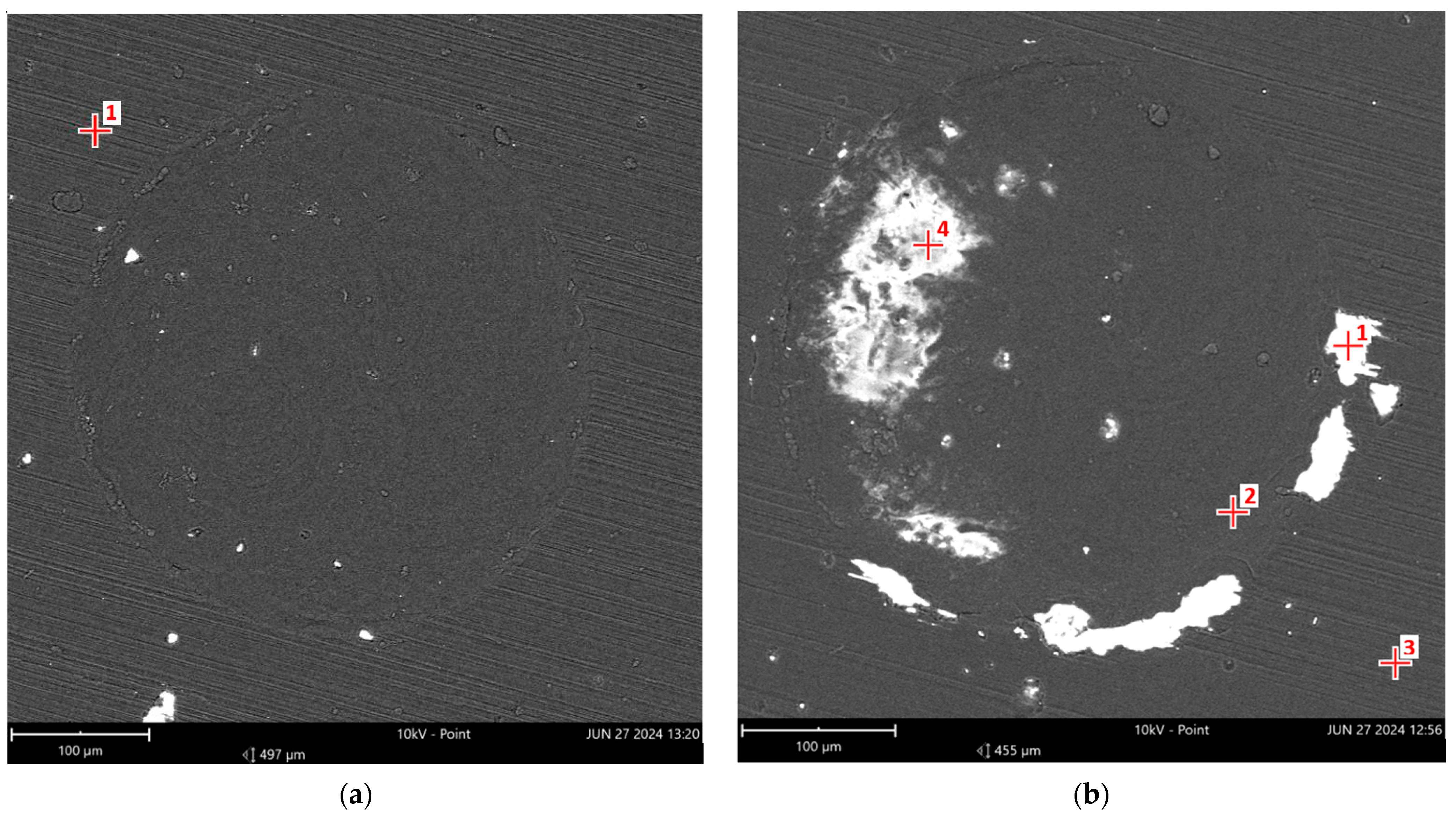 Lubricants 13 00244 g012