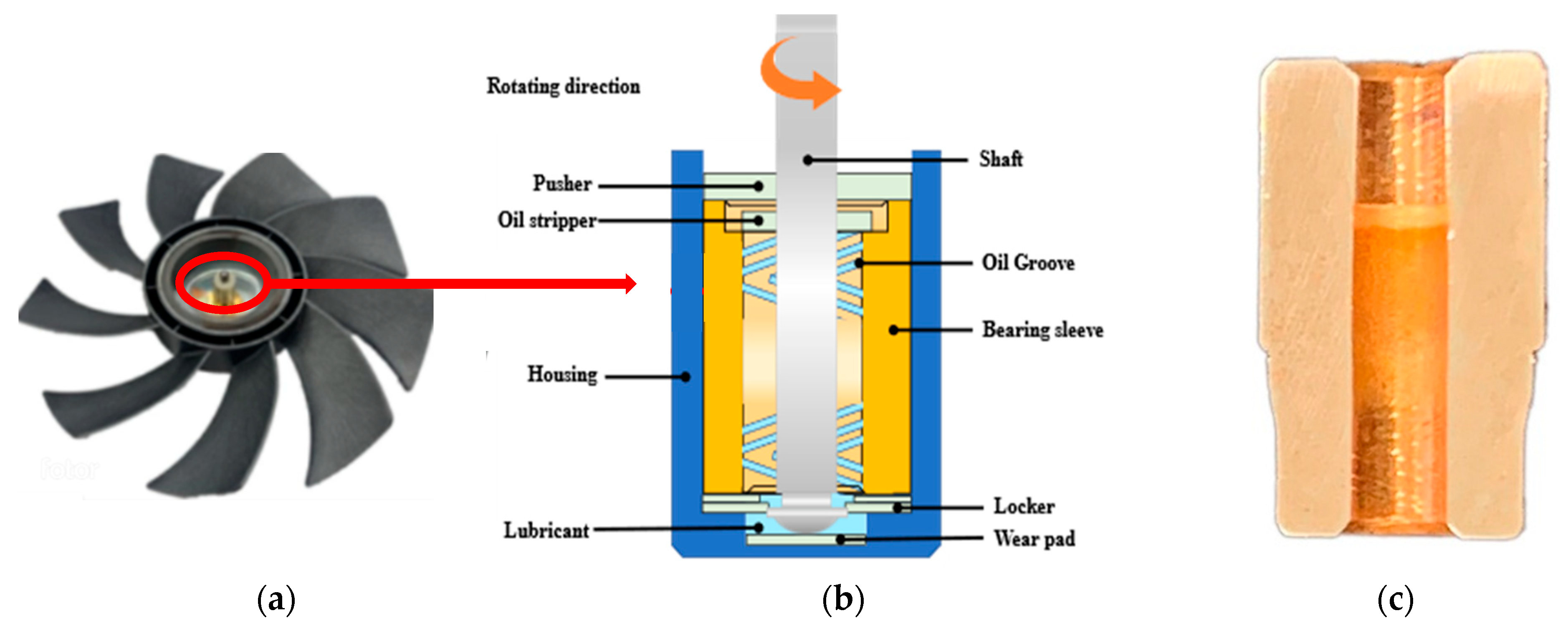 Lubricants 13 00245 g001