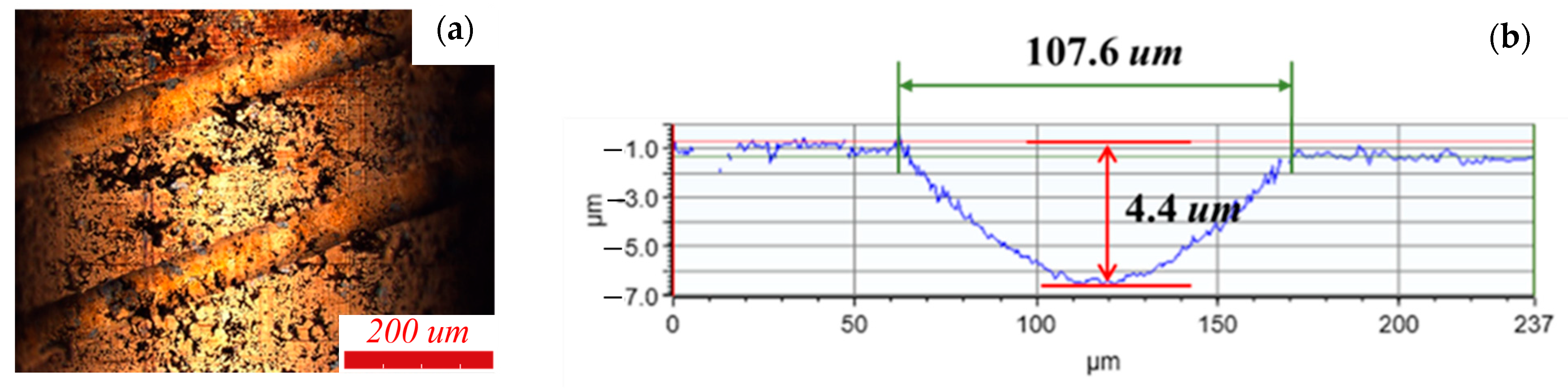 Lubricants 13 00245 g007