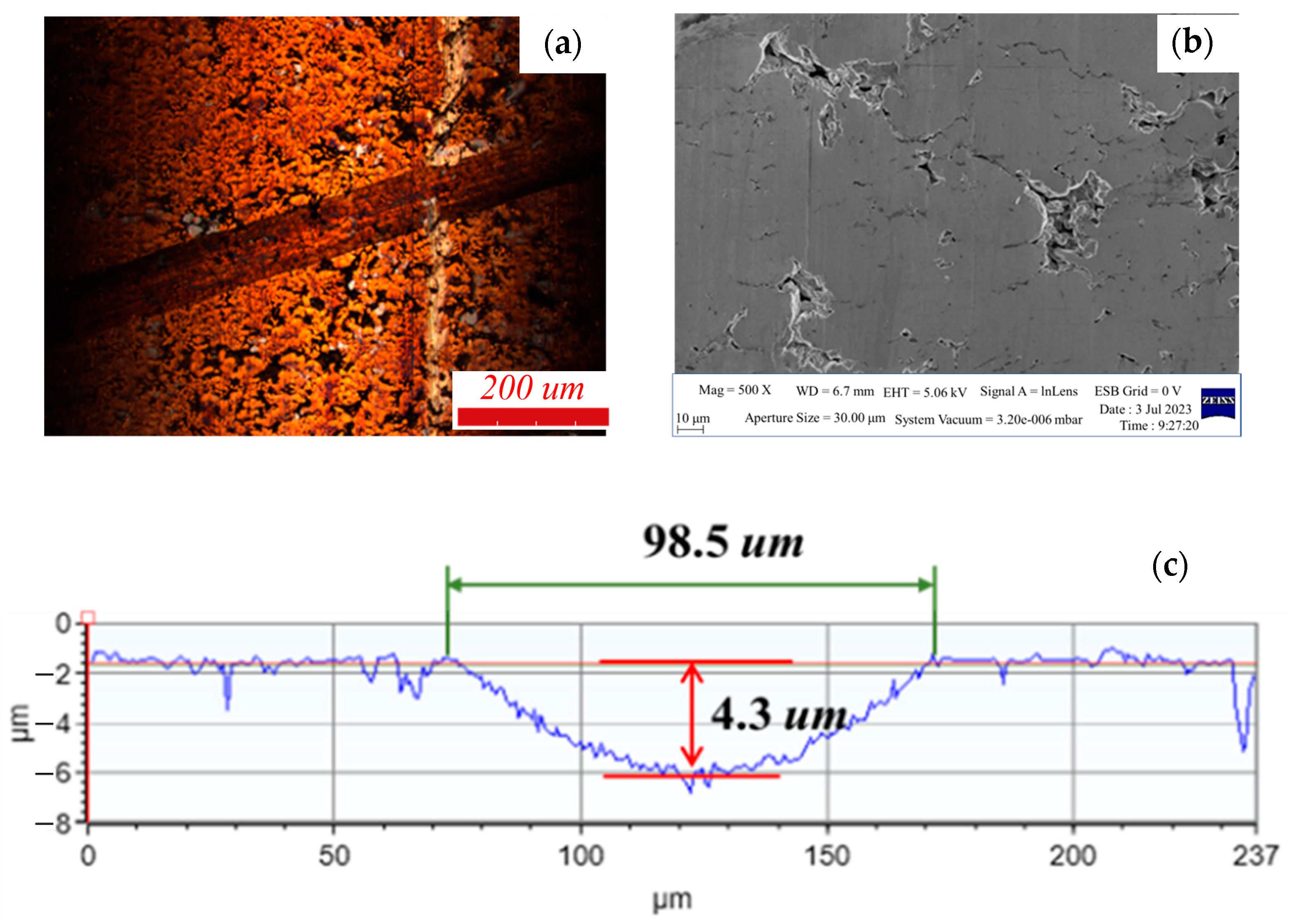 Lubricants 13 00245 g010