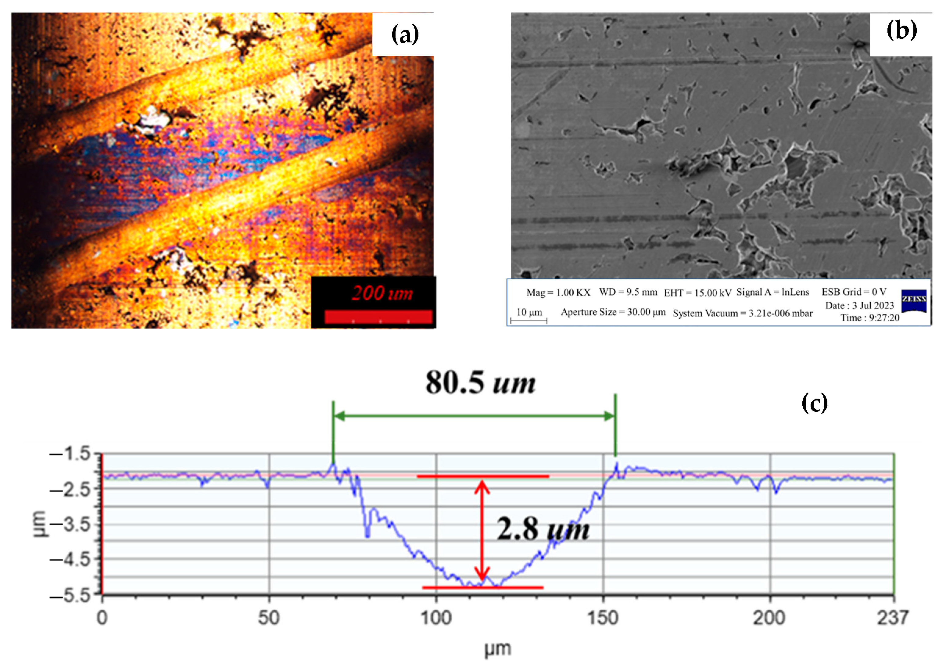 Lubricants 13 00245 g011
