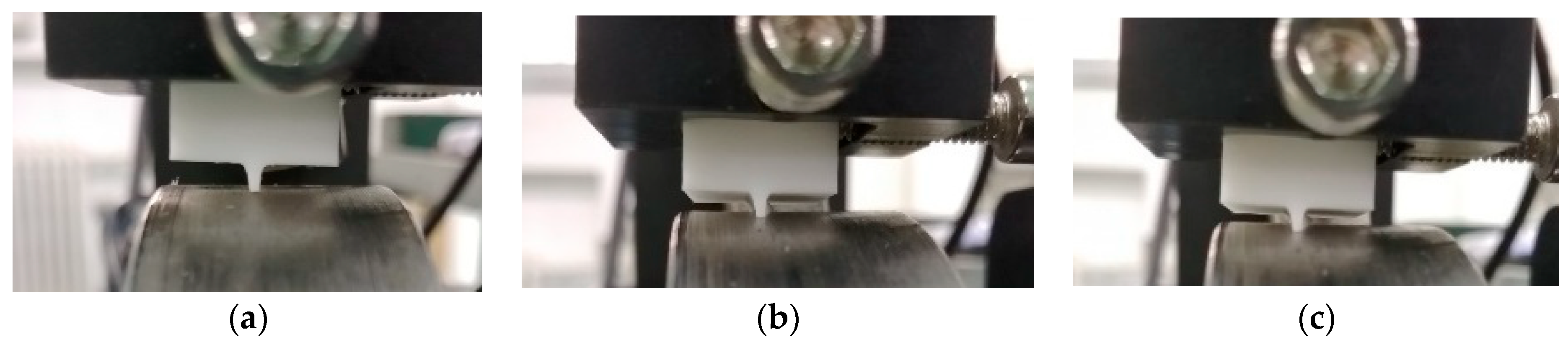 Lubricants 13 00250 g013