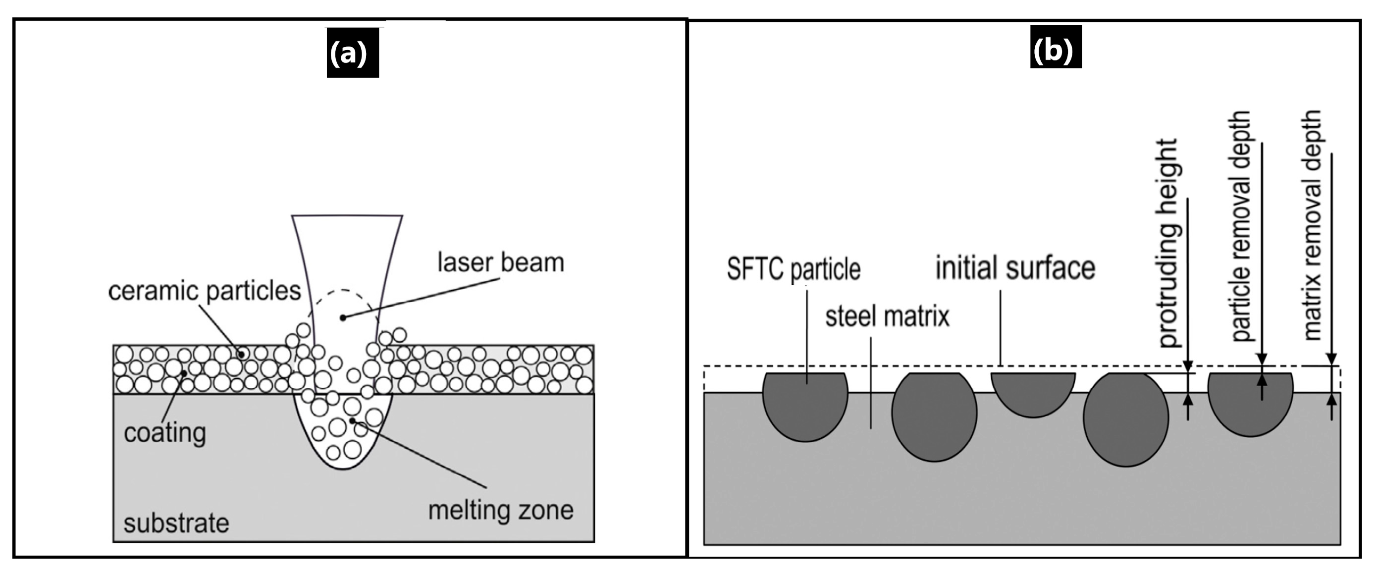 Lubricants 13 00253 g004