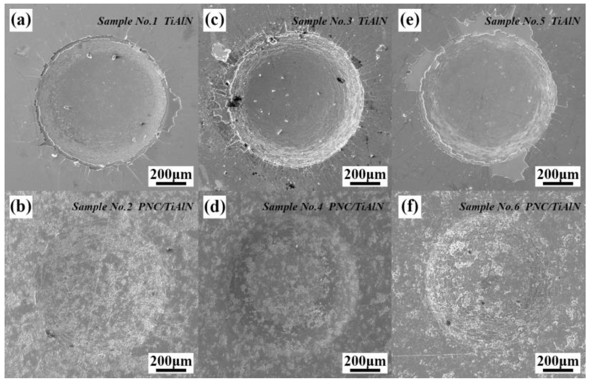 Lubricants 13 00254 g008