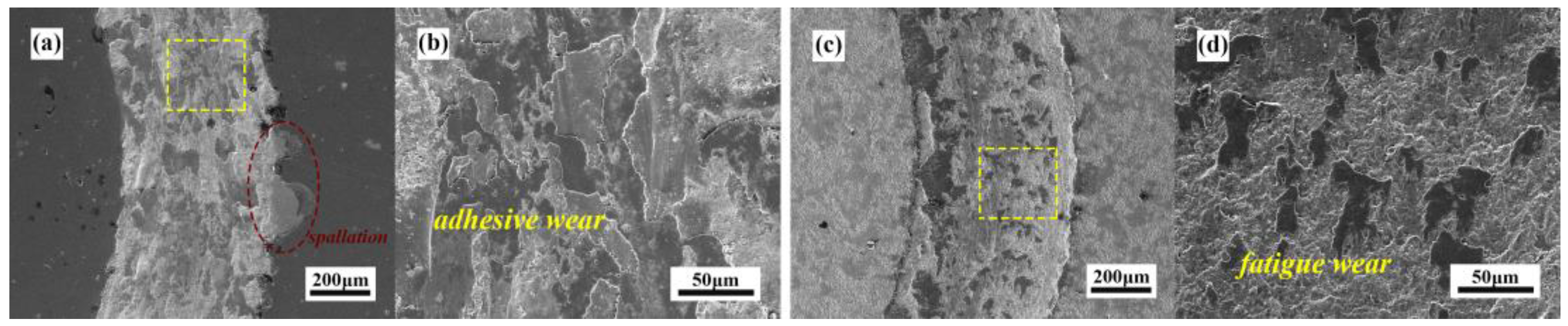 Lubricants 13 00254 g012