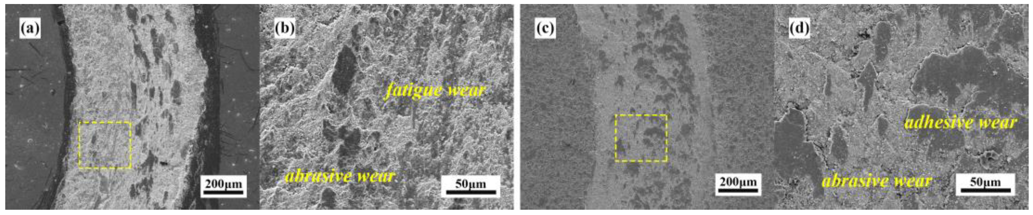Lubricants 13 00254 g013