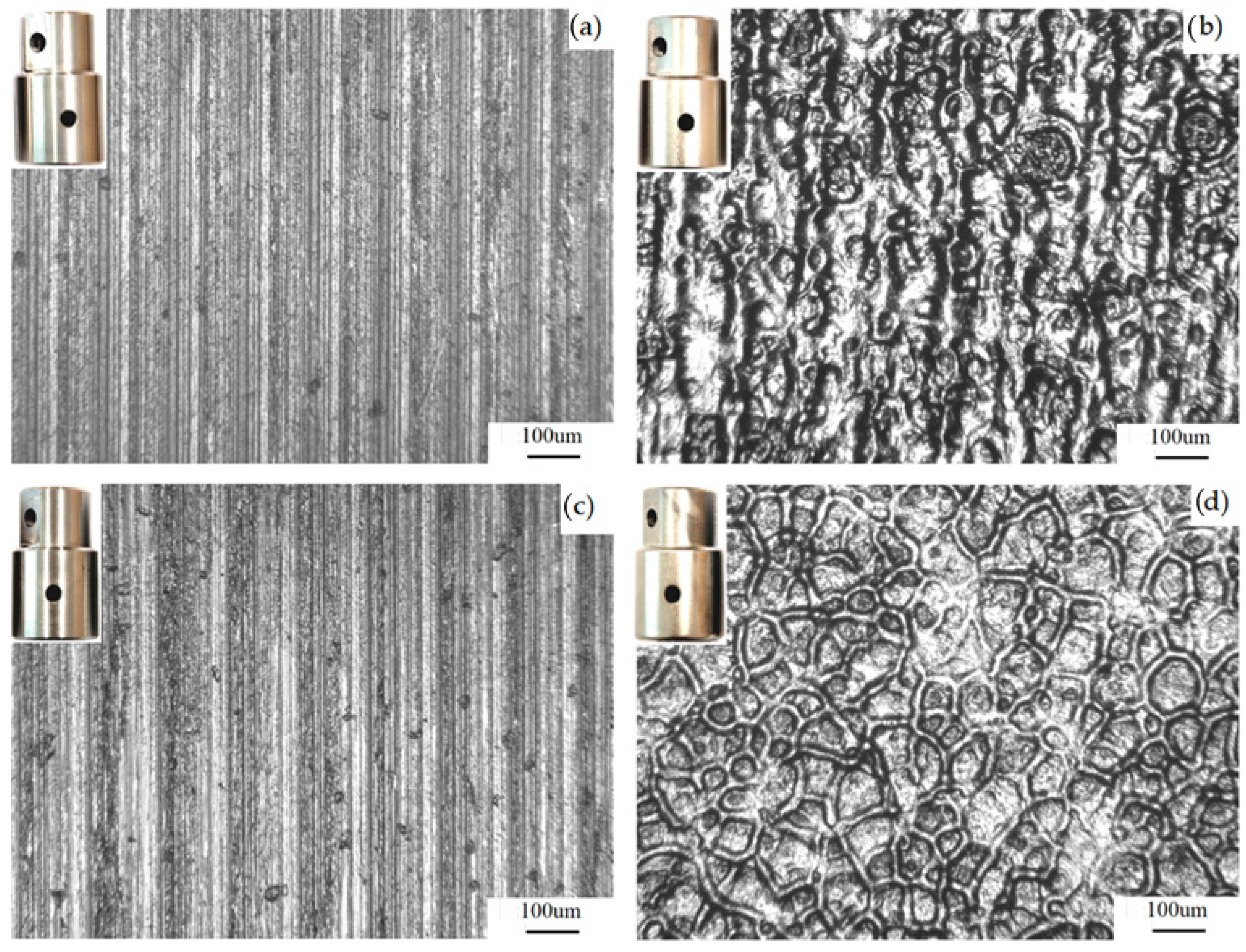 Lubricants 13 00255 g008