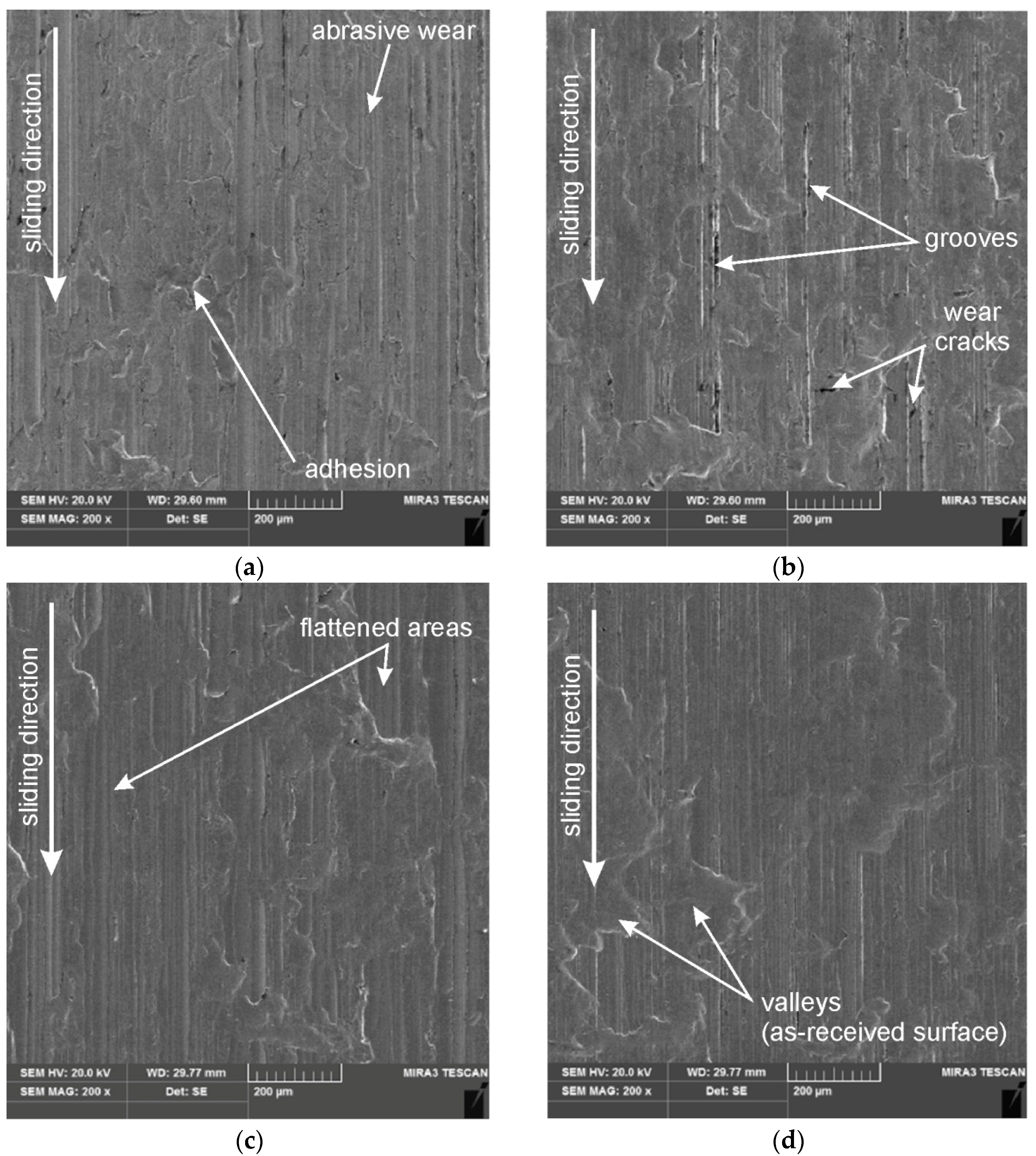 Lubricants 13 00255 g013