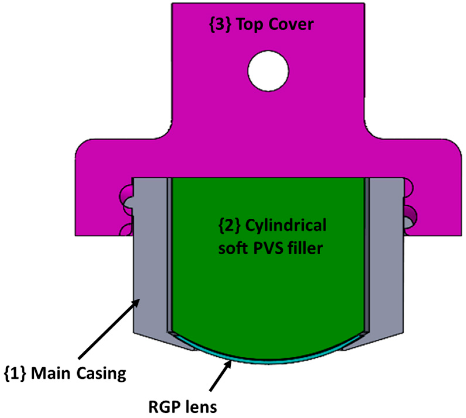 Lubricants 13 00256 g001